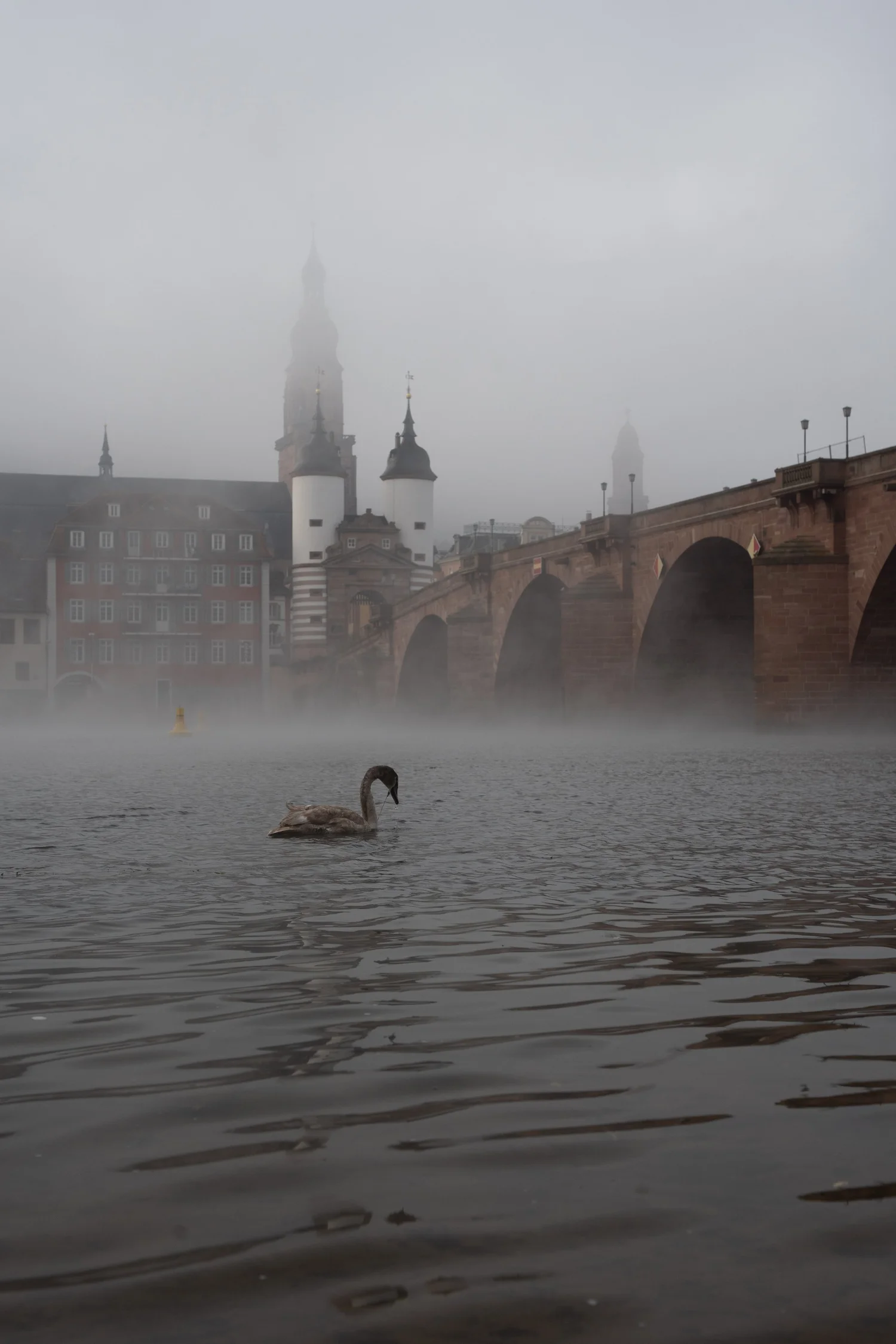 Unbearbeitete RAW-Aufnahme der Alten Brücke in Heidelberg im Nebel