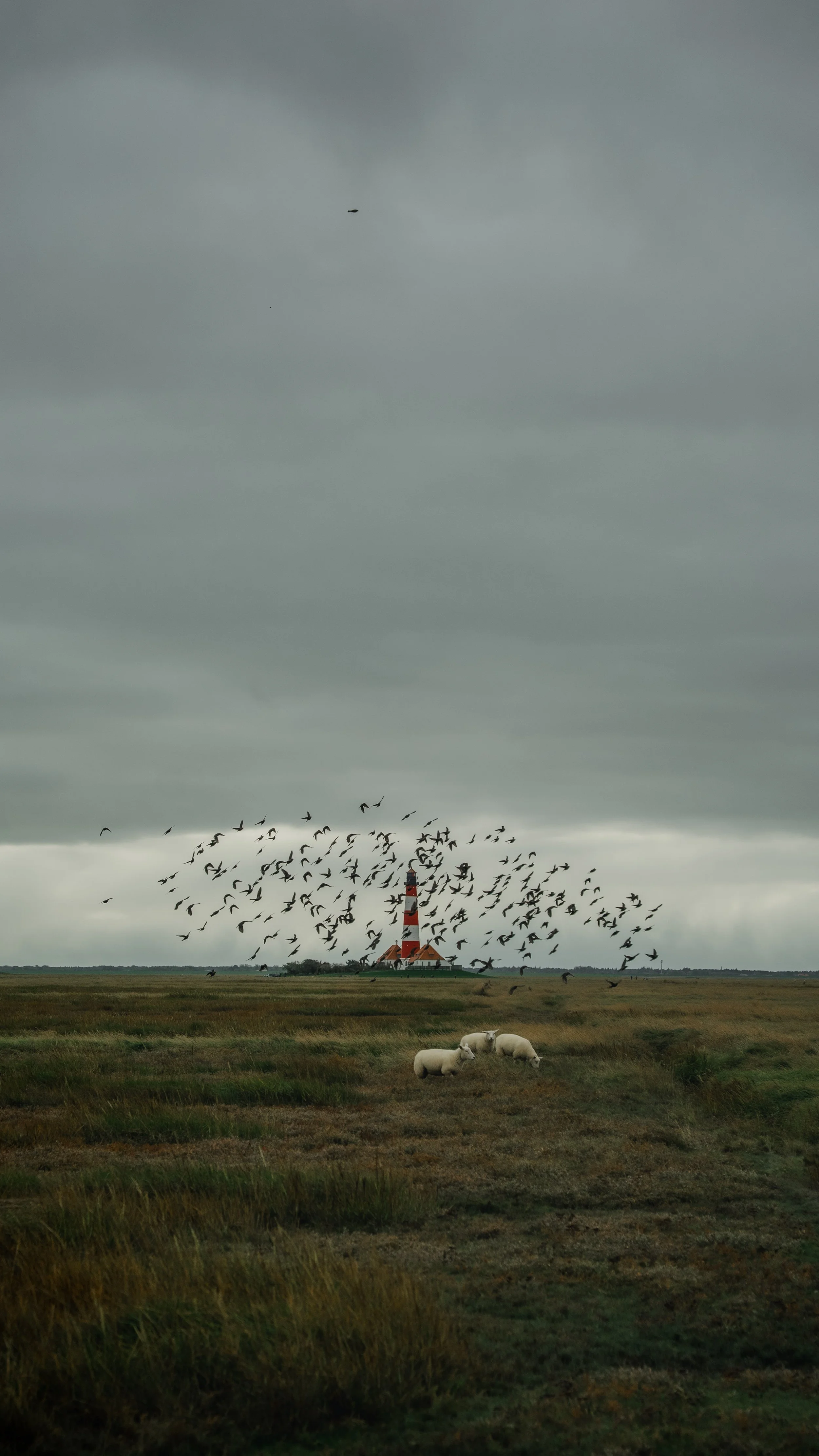 Lightroom Vorher-Nachher: Eine stimmungsvolle Landschaft am Westerhever Leuchtturm bearbeite