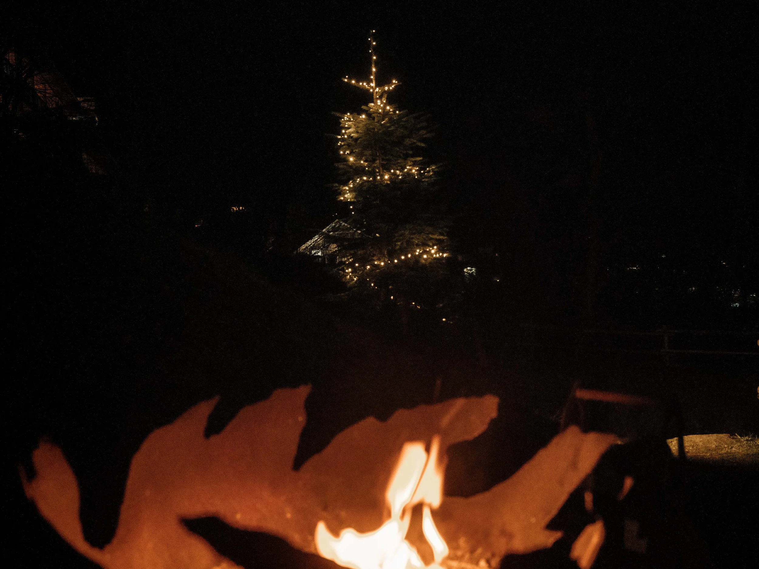 Weihnachten im Hotel Bad Fallenbach