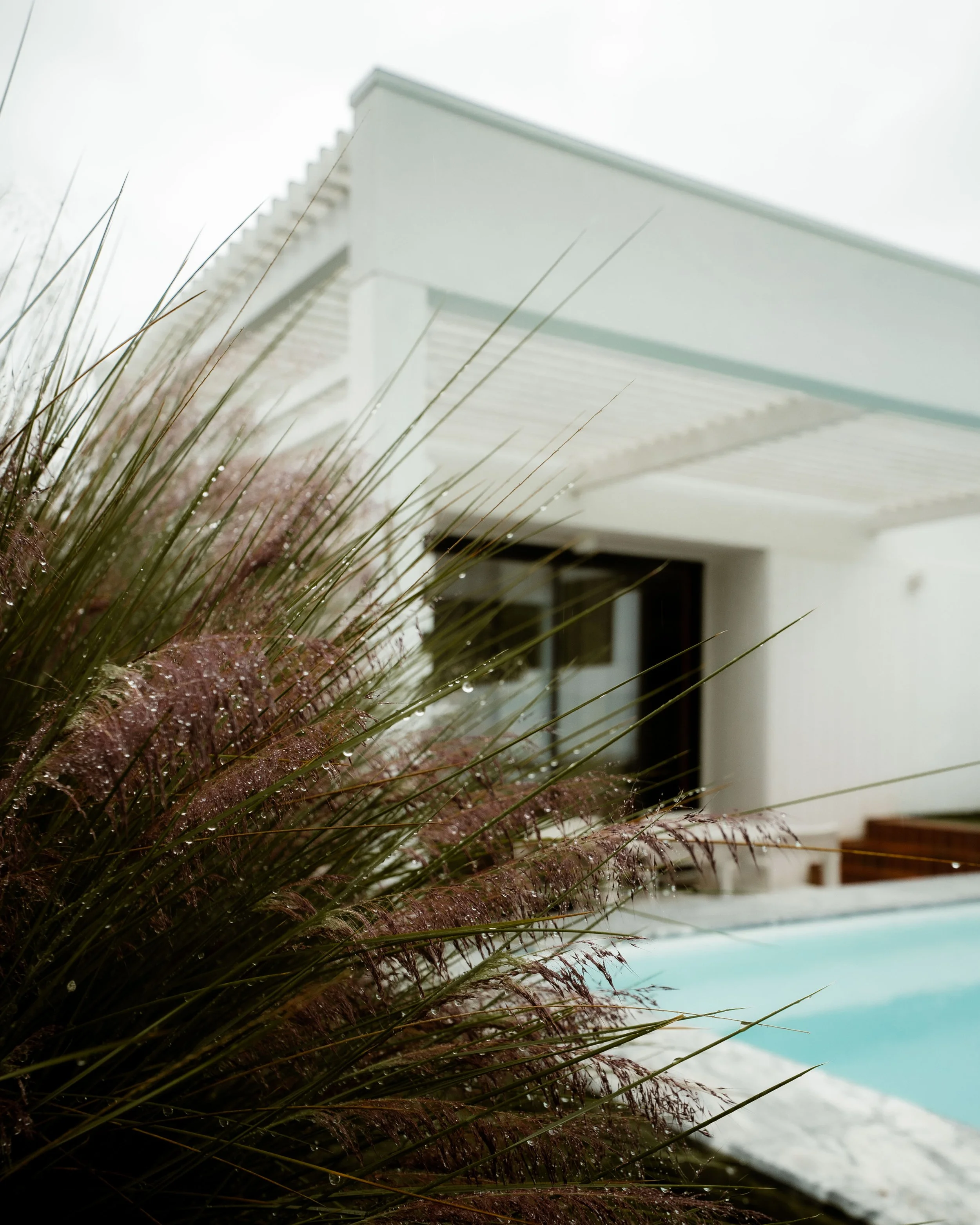 portugal-ericeira-prime-privatpool-mit-graesern.jpg