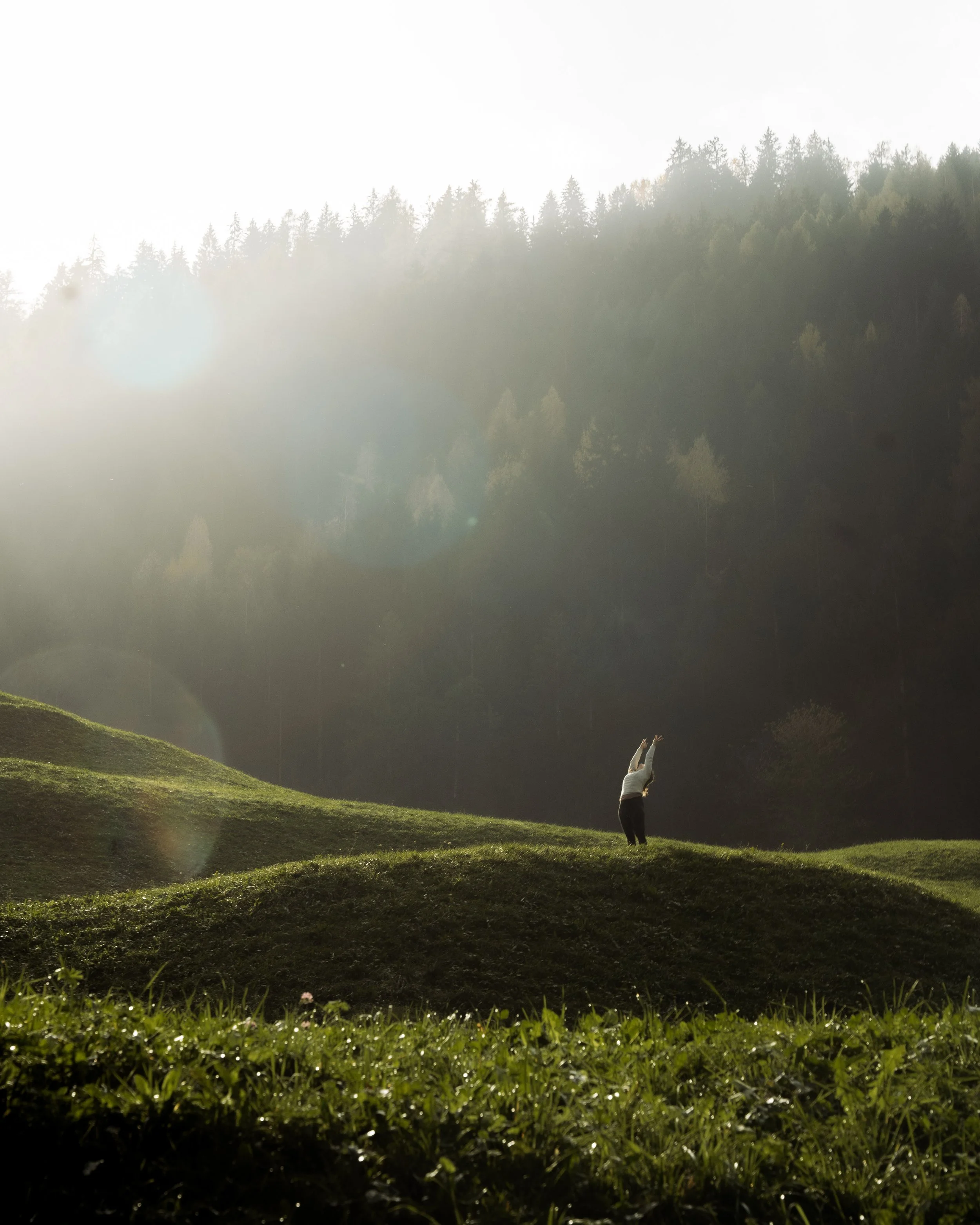 italien-bad-fallenbach-wanderung-ueber-neblige-wiese.jpg