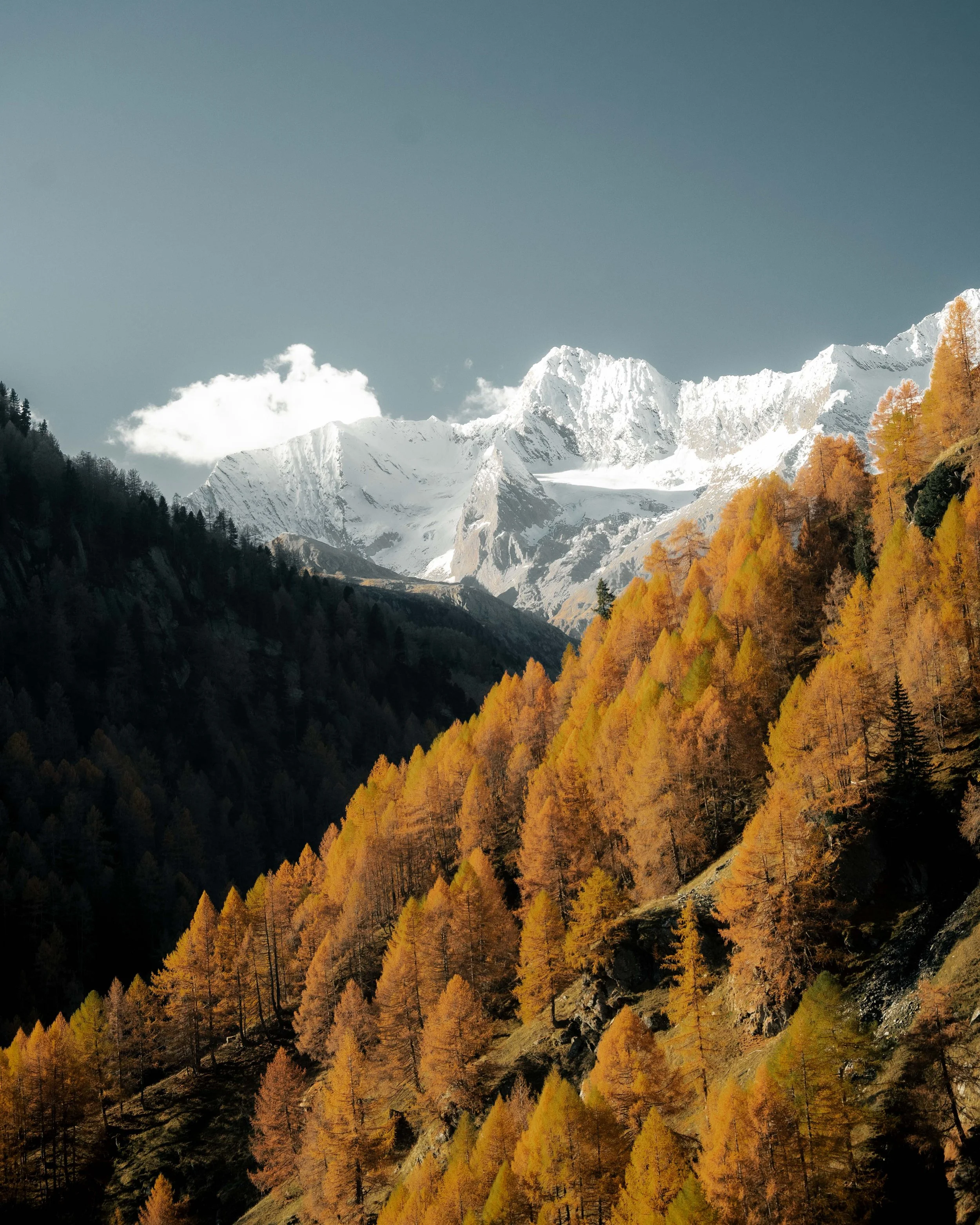 italien-bad-fallenbach-schneegipfel-und-herbstwald.jpg