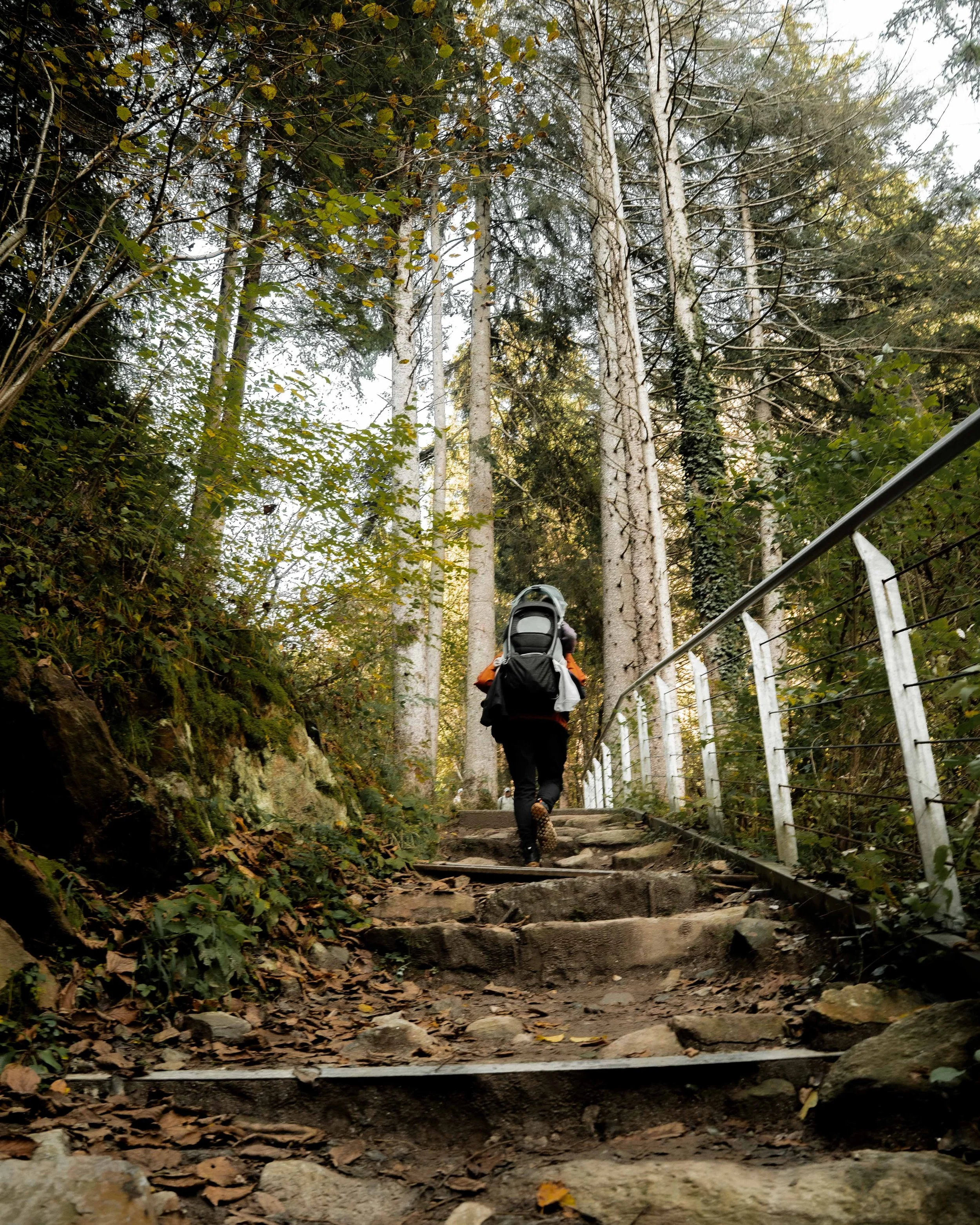 italien-bad-fallenbach-kind-auf-dem-waldweg.jpg