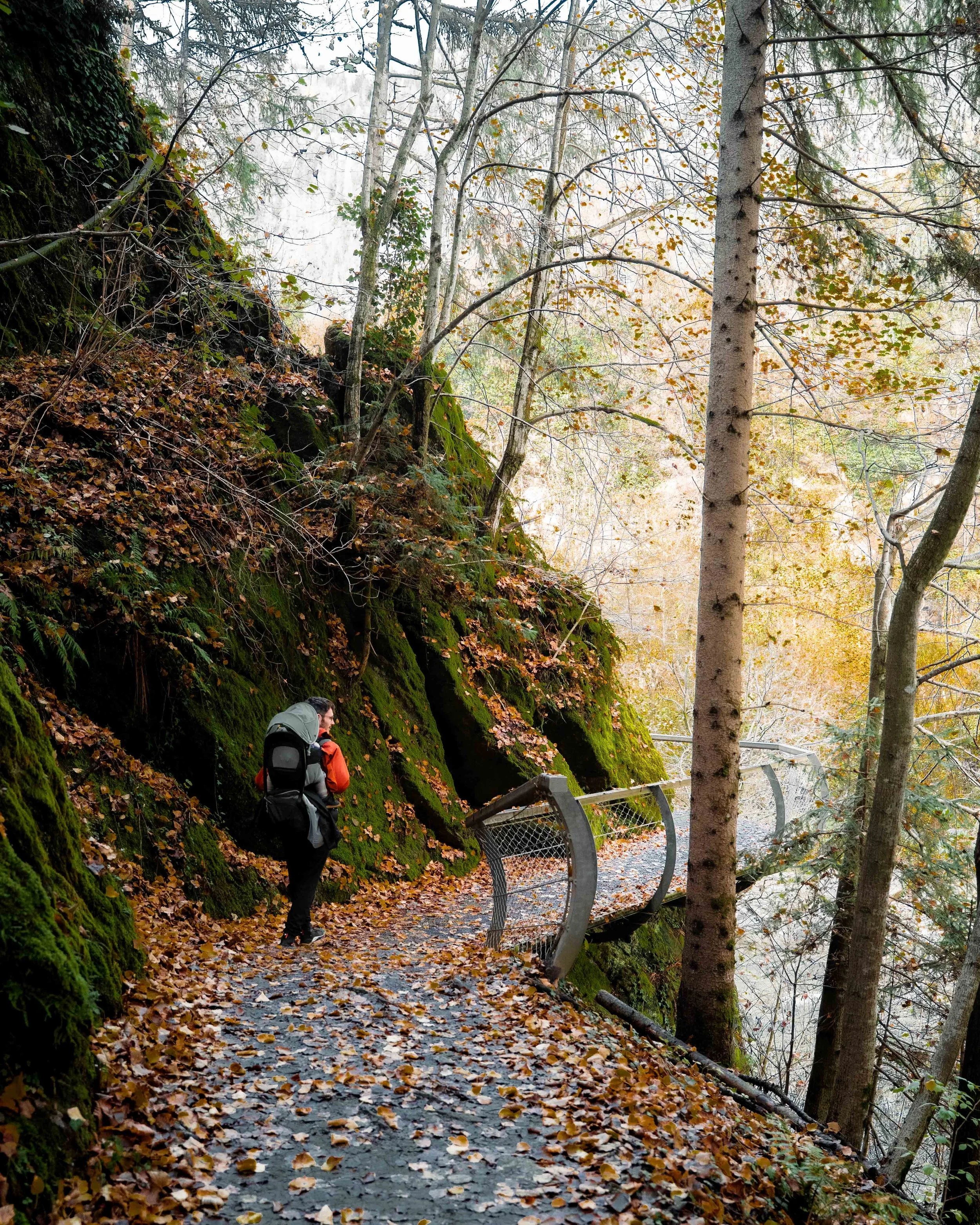 italien-bad-fallenbach-waldweg-im-herbst.jpg