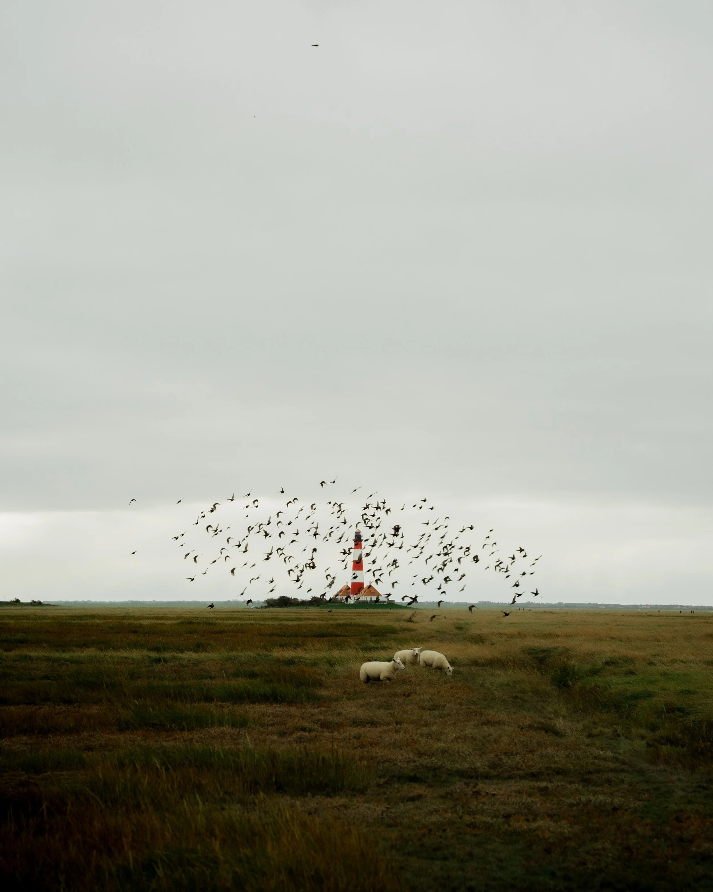 Galerie: Sankt Peter Ording