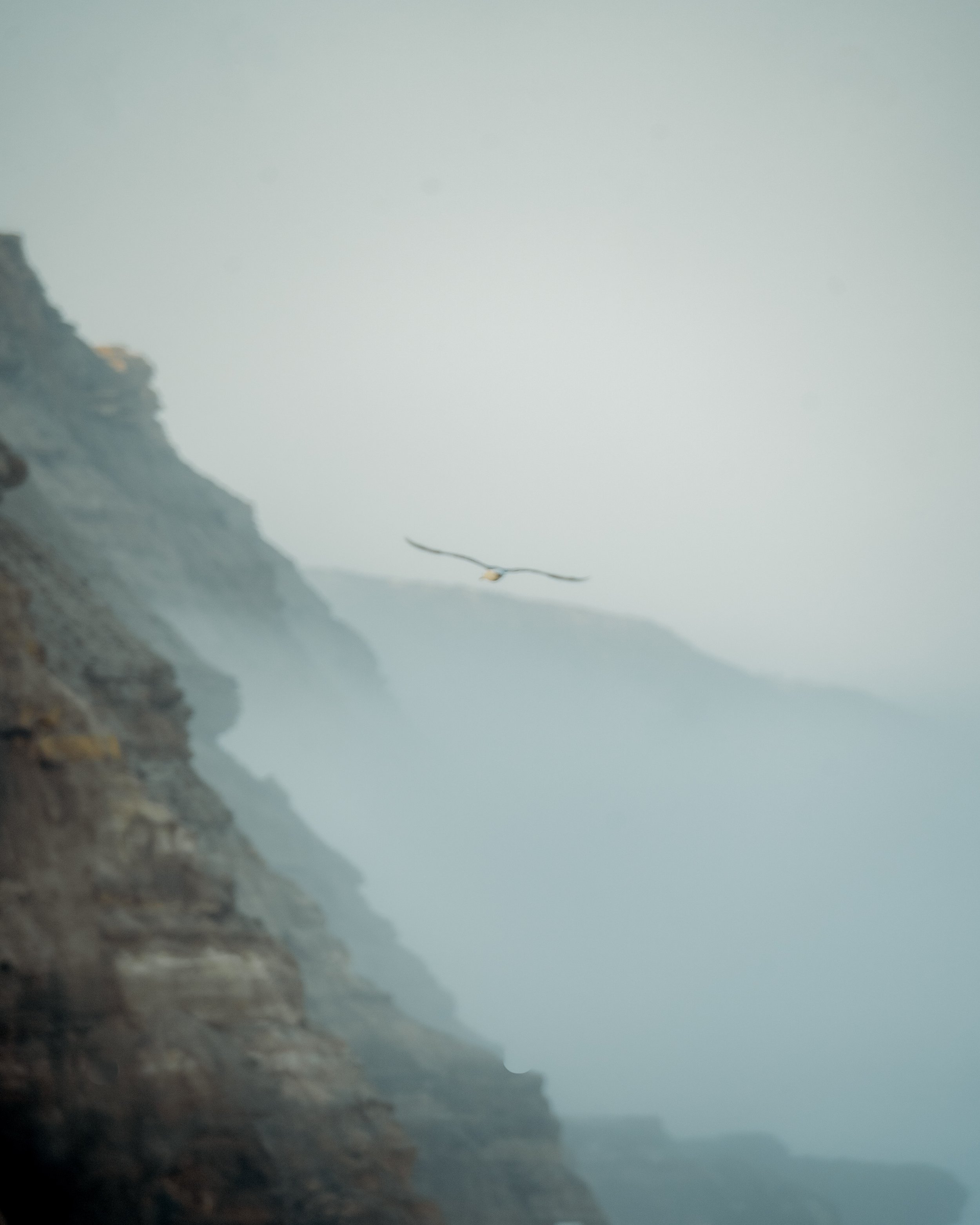 portugal-praia-de-sao-juliao-felskueste-im-nebel.jpg