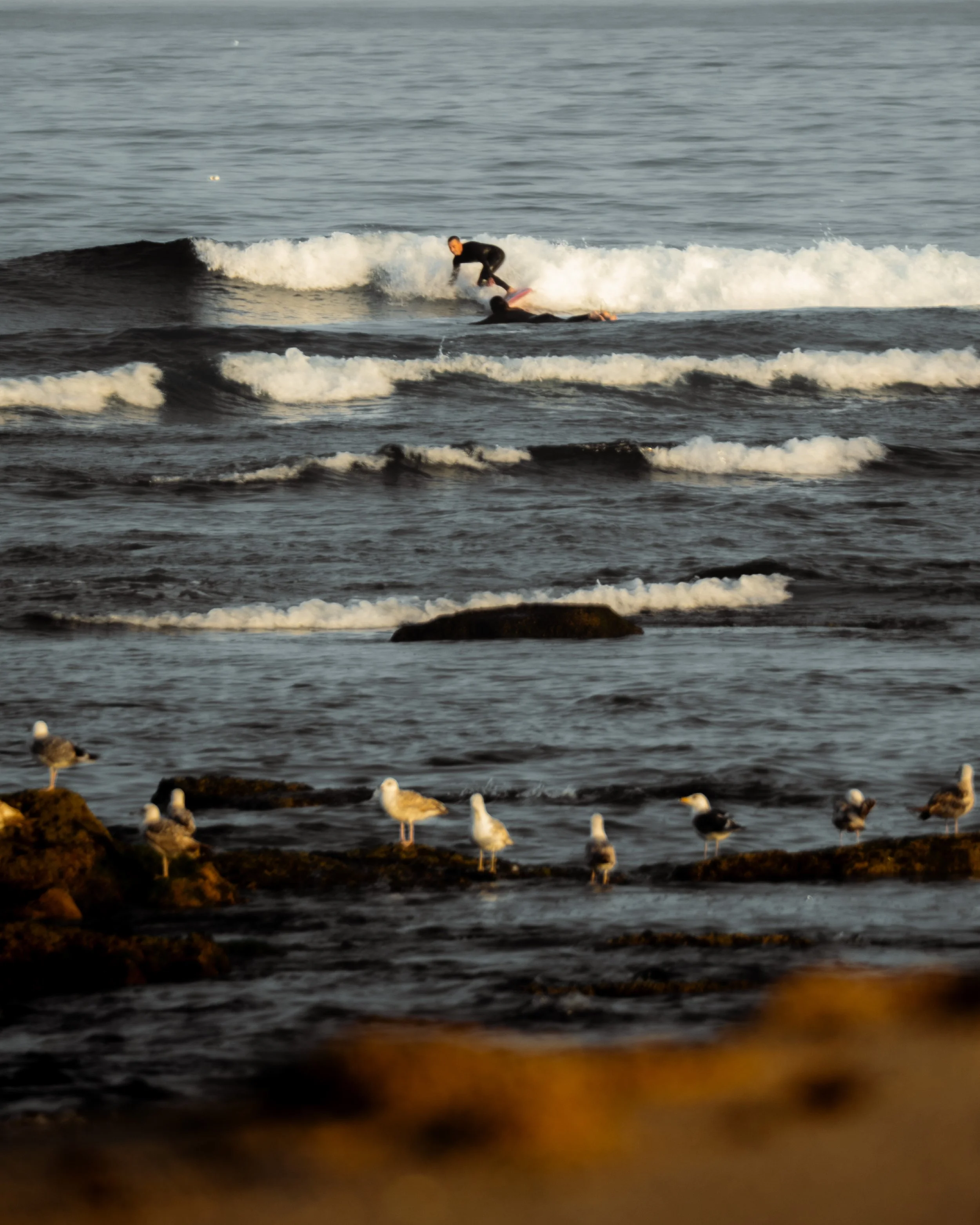 portugal-ribeira-dilhas-surfer-in-den-wellen.jpg