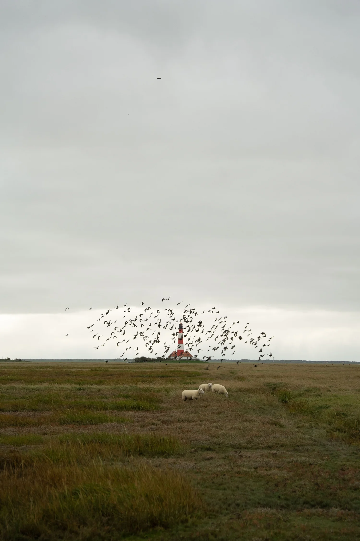 lightroom before and after moody westerhever lighthouse raw