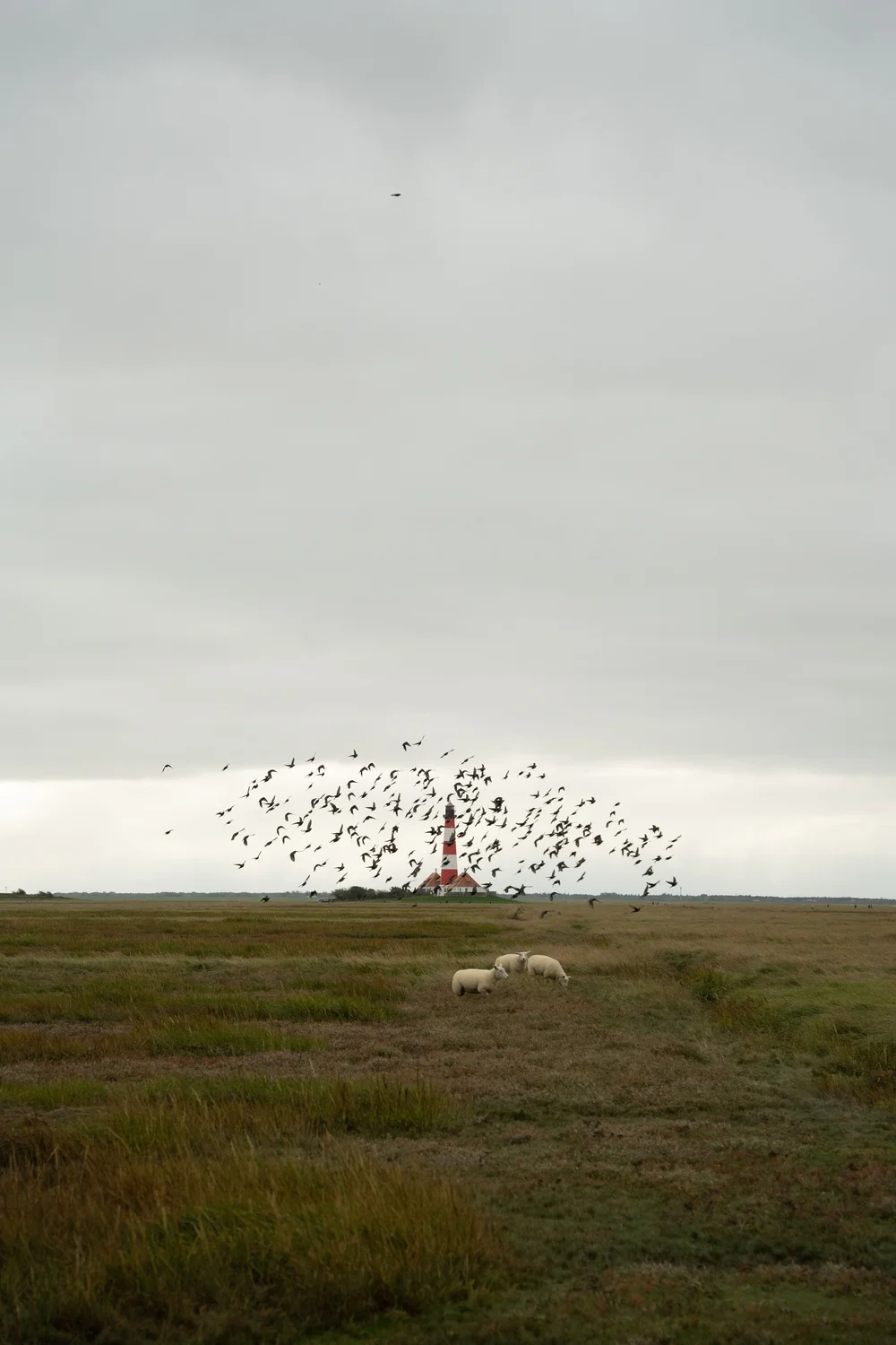 Westerhever vor der Bearbeitung