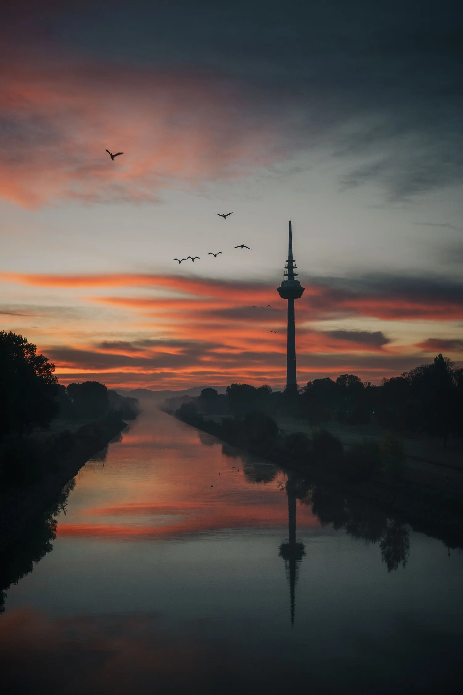 Vergleich verschiedener Bearbeitungsstile in Mannheim