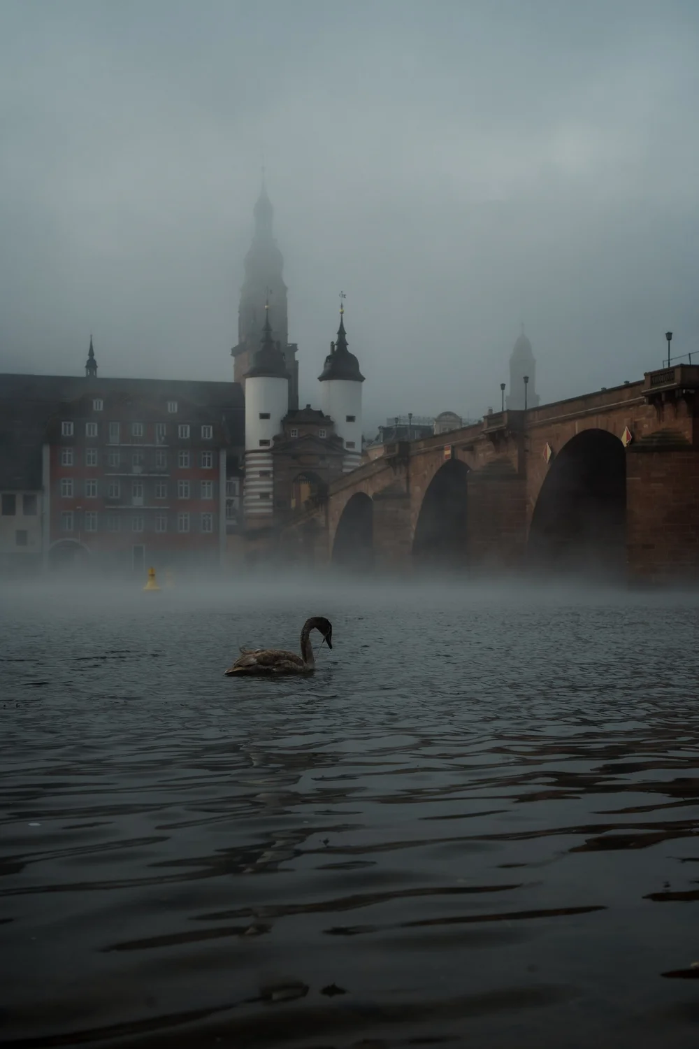 Nebelige Brücke über den Fluss, Morgenstimmung in Heidelberg