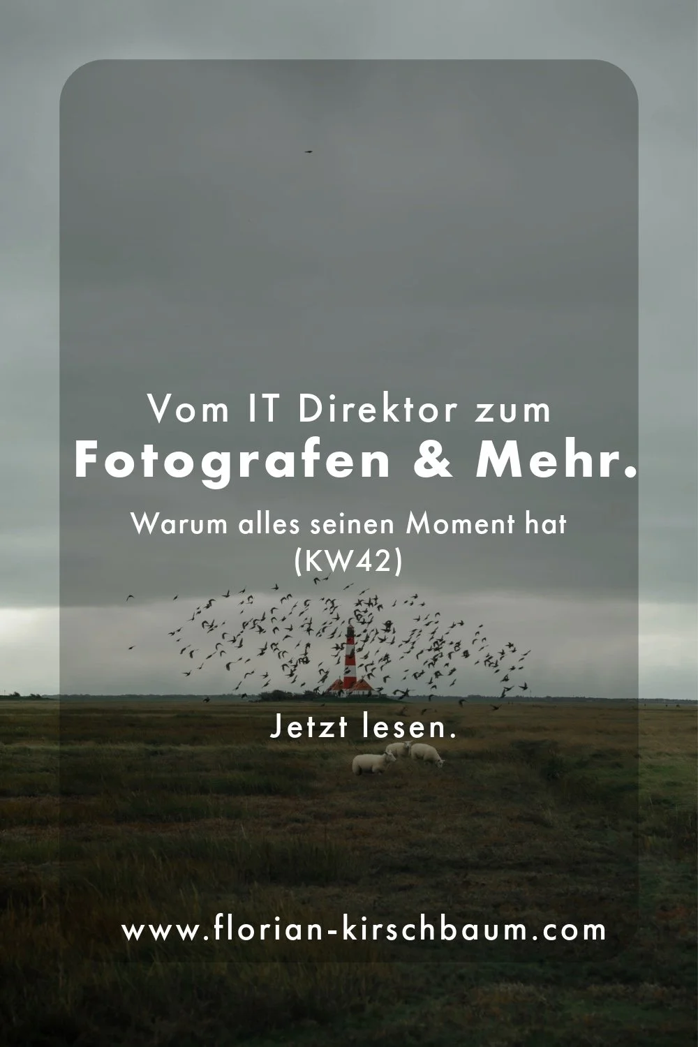 Wochenreflexion #12/KW 42: Warum alles seinen Moment hat