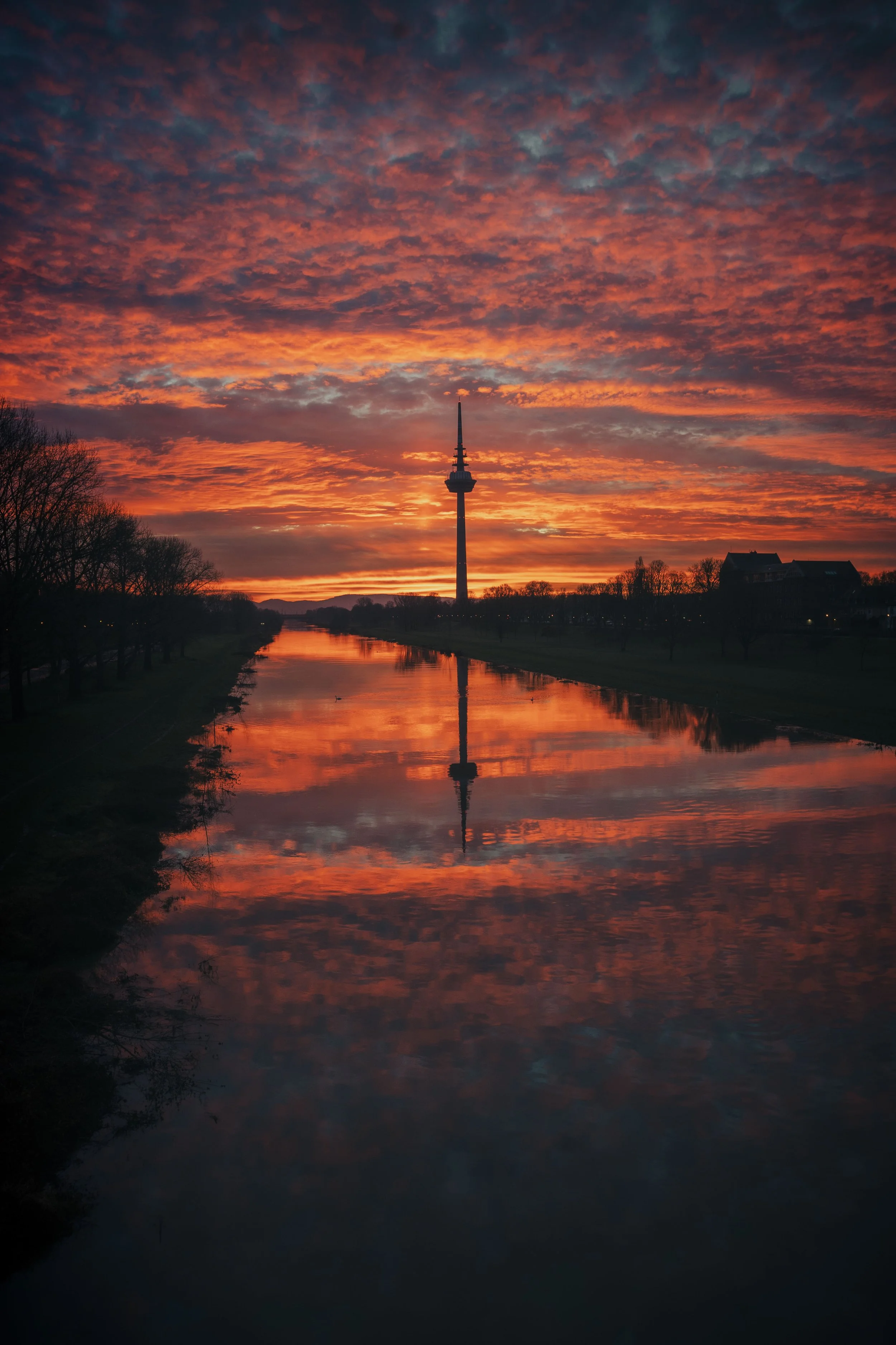 Sonnenaufgang mit Spiegelung am Wasser, Mannheim