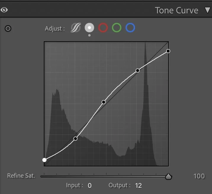 Lightroom Tone Curve Lorsch Abbey