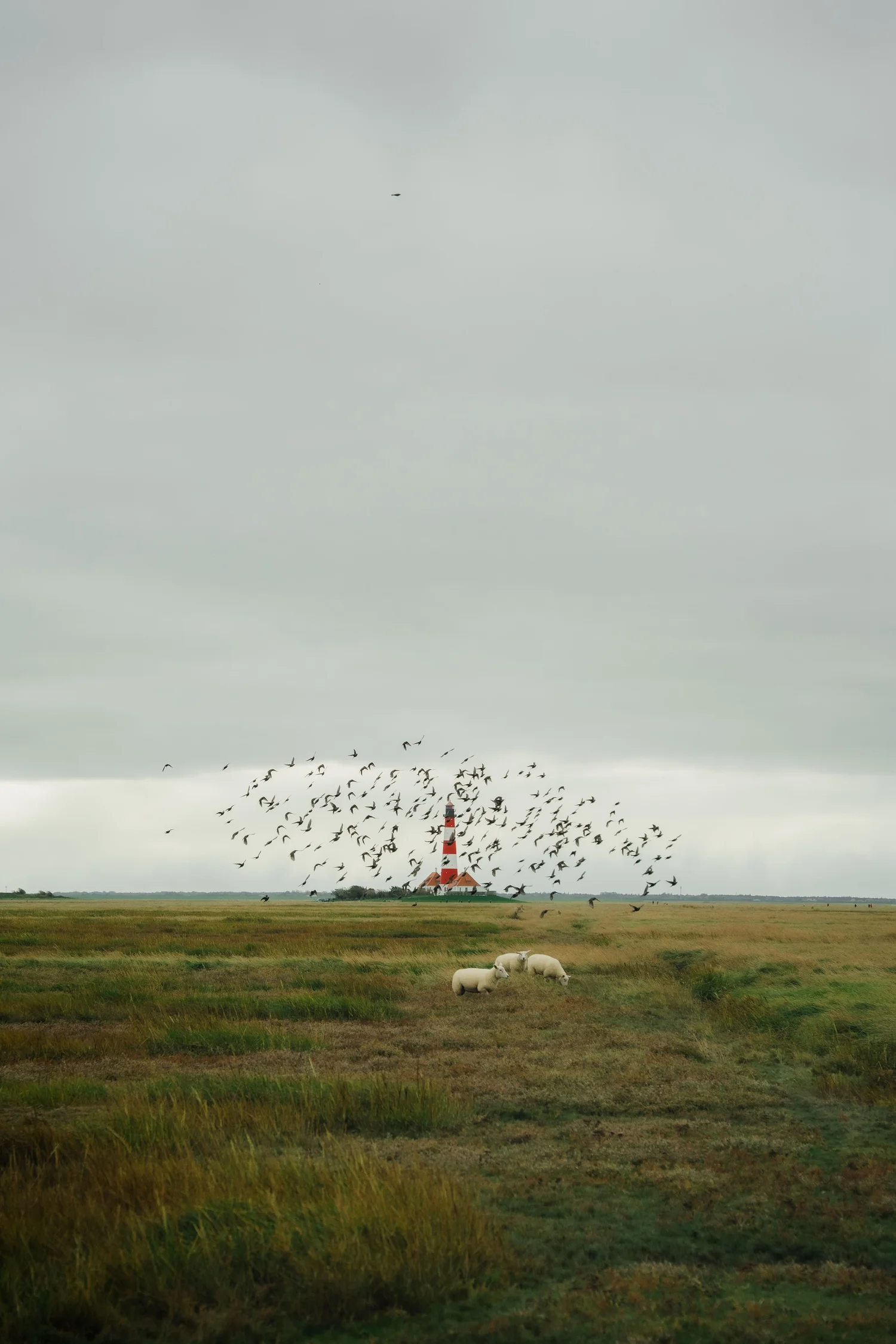 lightroom before and after moody westerhever lighthouse edited