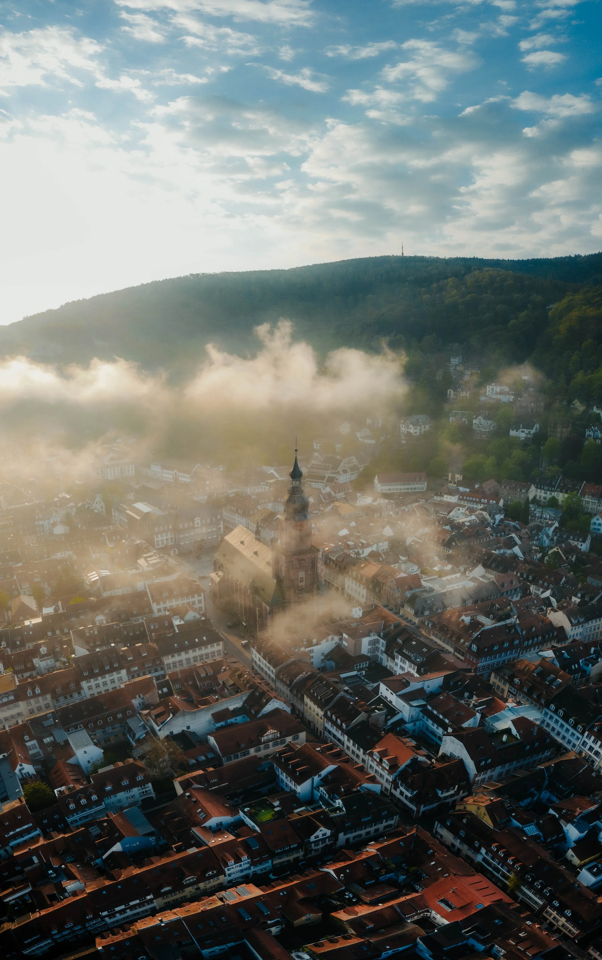 deutschland-stadt-nebel-morgen-heidelberg.jpg