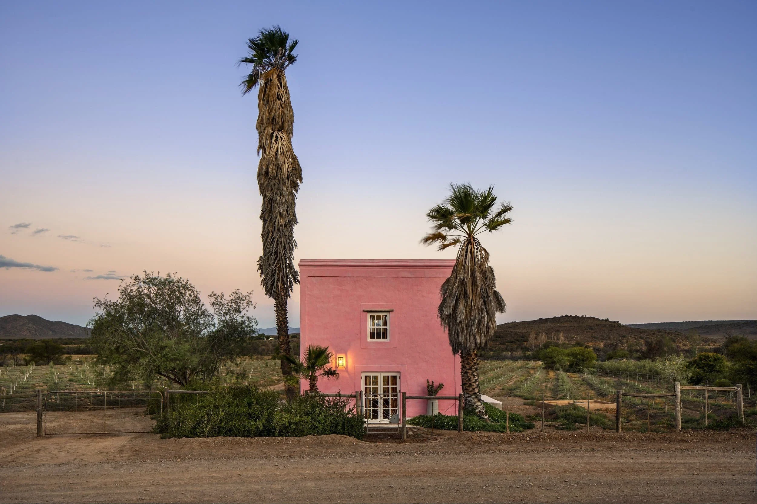 Buffelsdrift Farm Klein Karoo