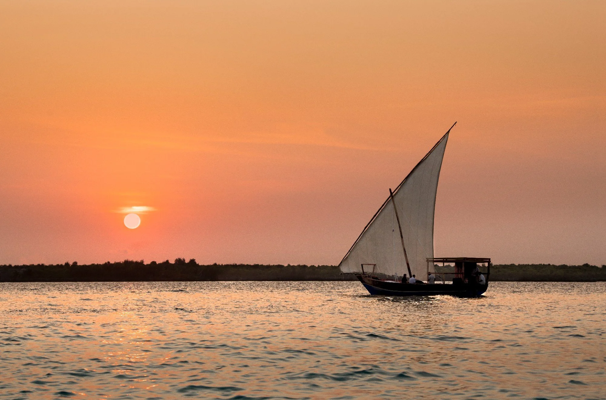 Zanzibar-Mnemba-Island-dhow (5)_w2000.jpg