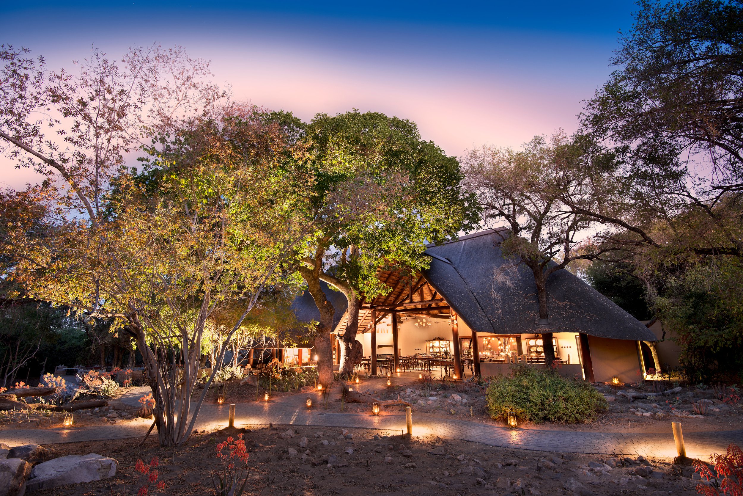 Ngala Safari Lodge Ngala Private Game Reserve Mpumalanga