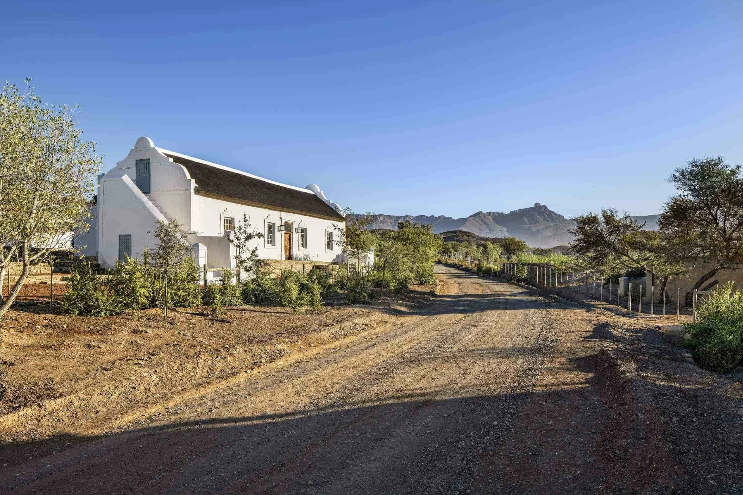 Buffelsdrift Farm Klein Karoo