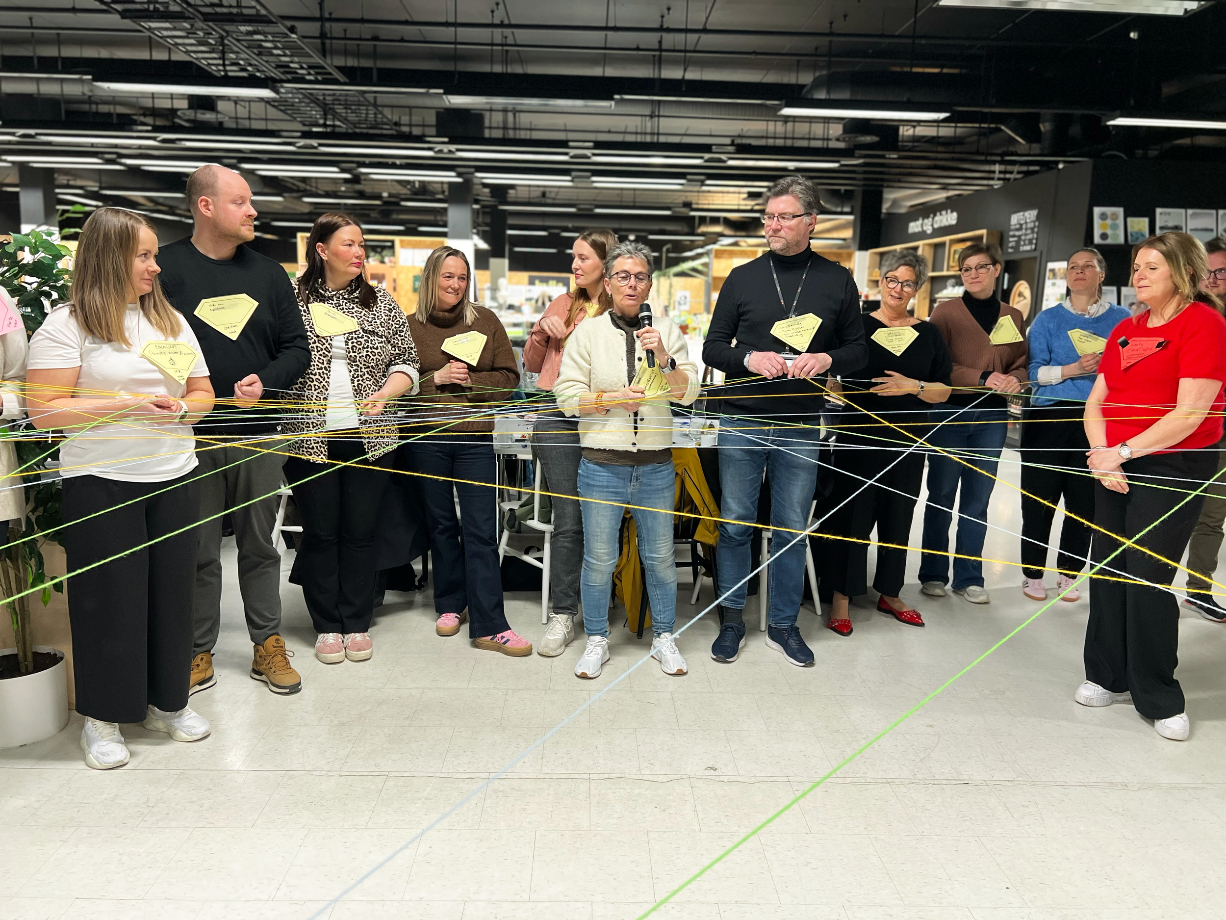 OSS-programmet: Bærekraftig endring i helse- og omsorgssektoren