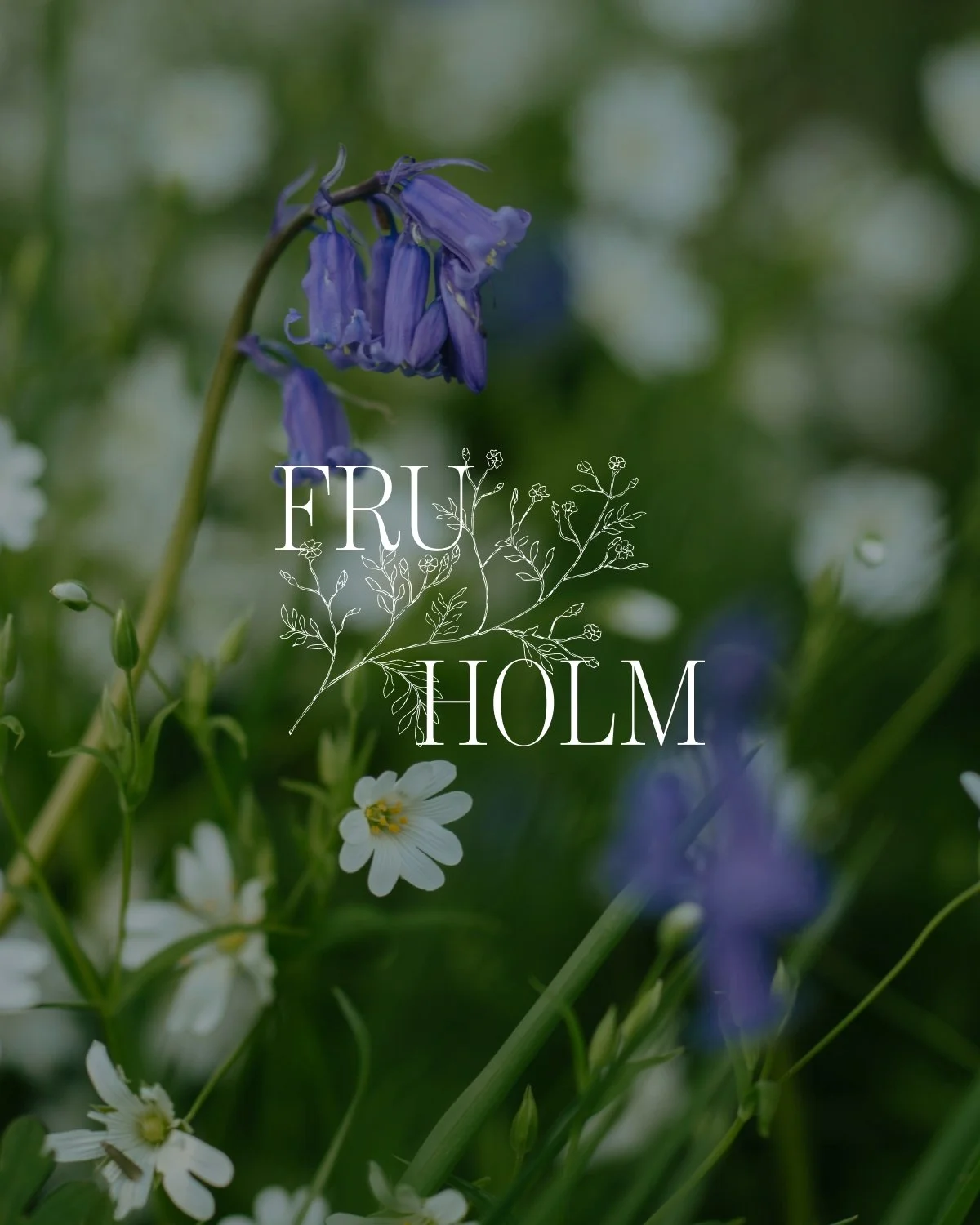 Brand identitet for Fru HOLM