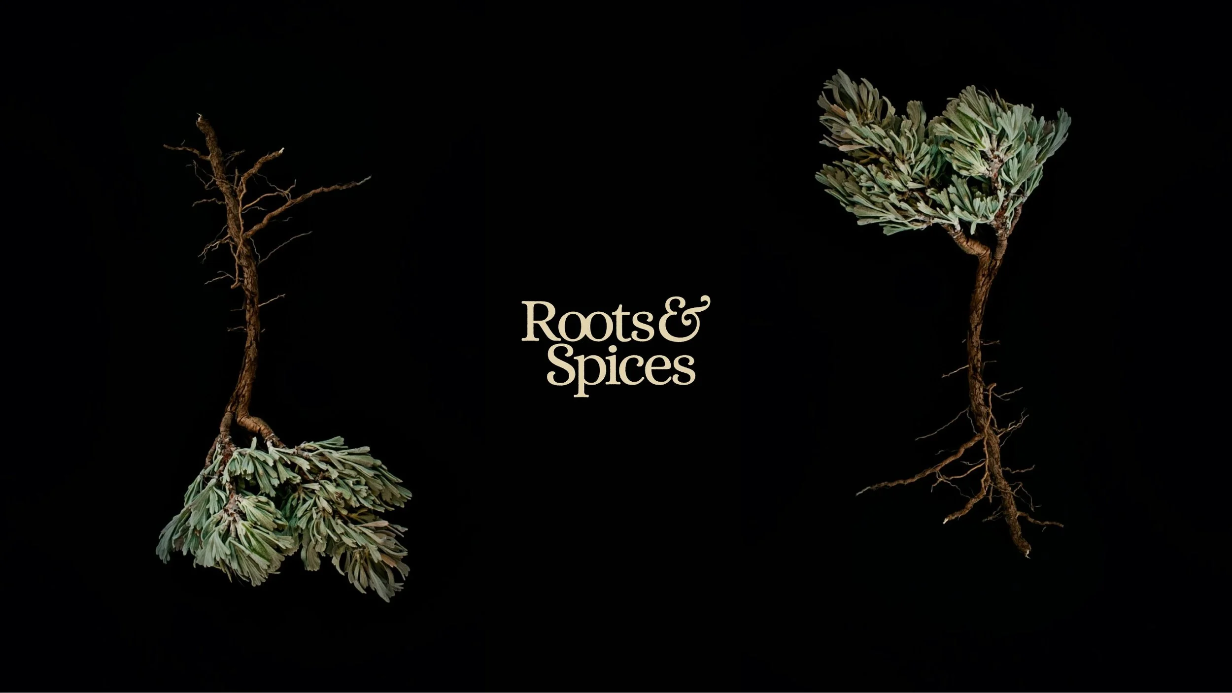 RootsSpices-13.jpg