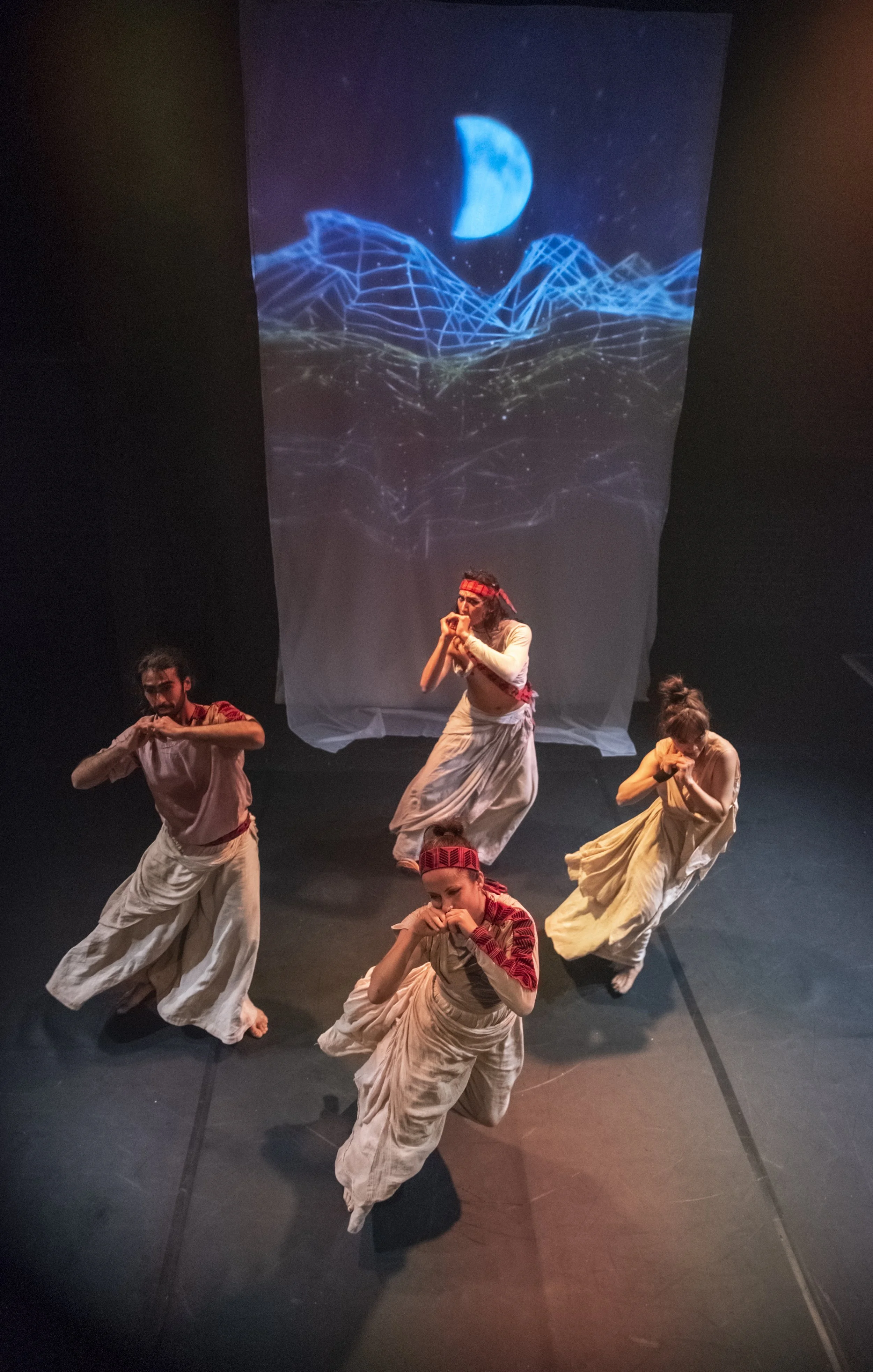 Moonlight Arcola Edrich 11.jpg