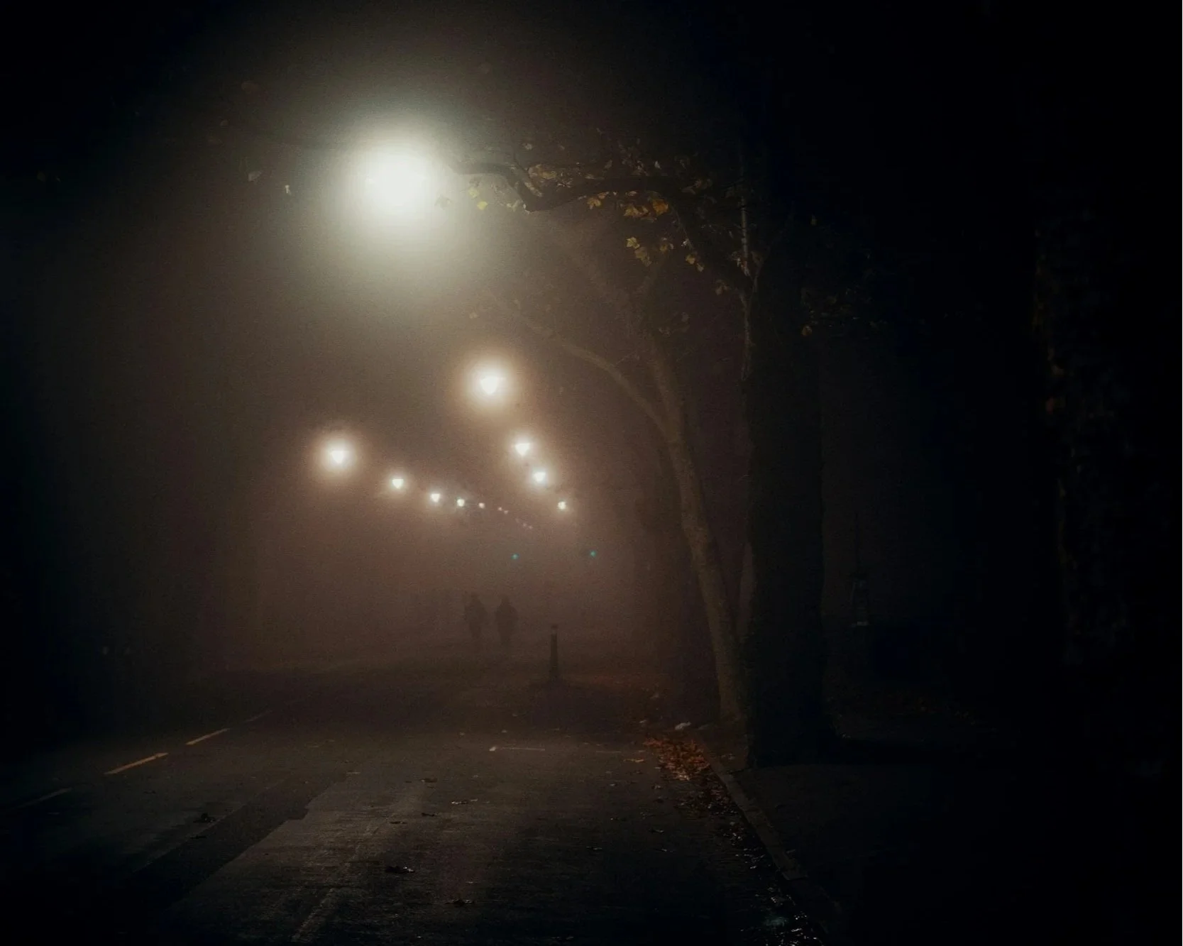 Artificial Lighting and Bat Friendly Design in Development Projects