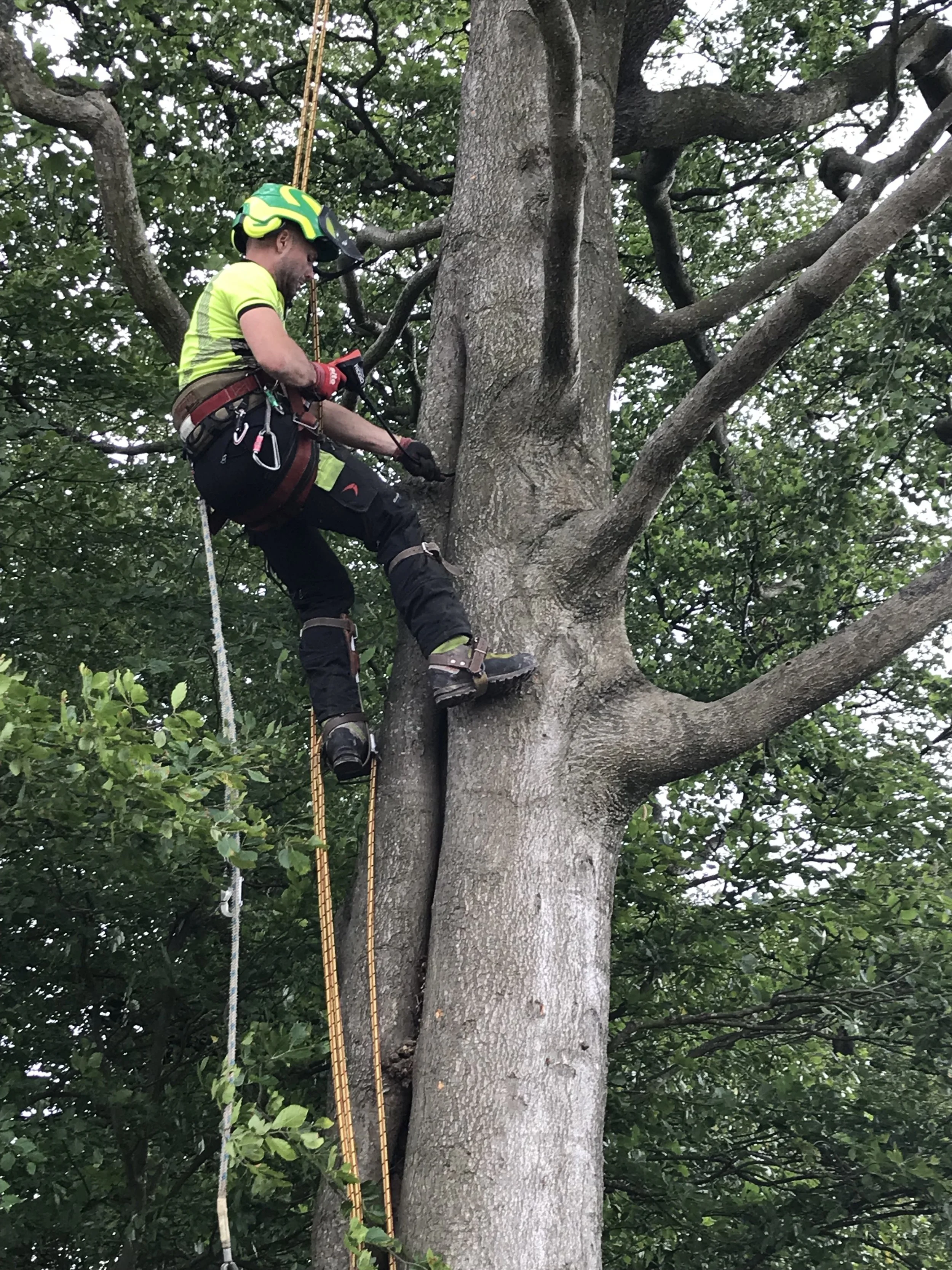 Communicating Ecological Requirements to Contractors: Practical Guidance