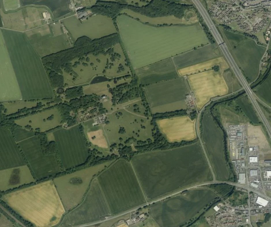 Habitat Fragmentation and Linear Infrastructure: Ecological Impacts and Solutions