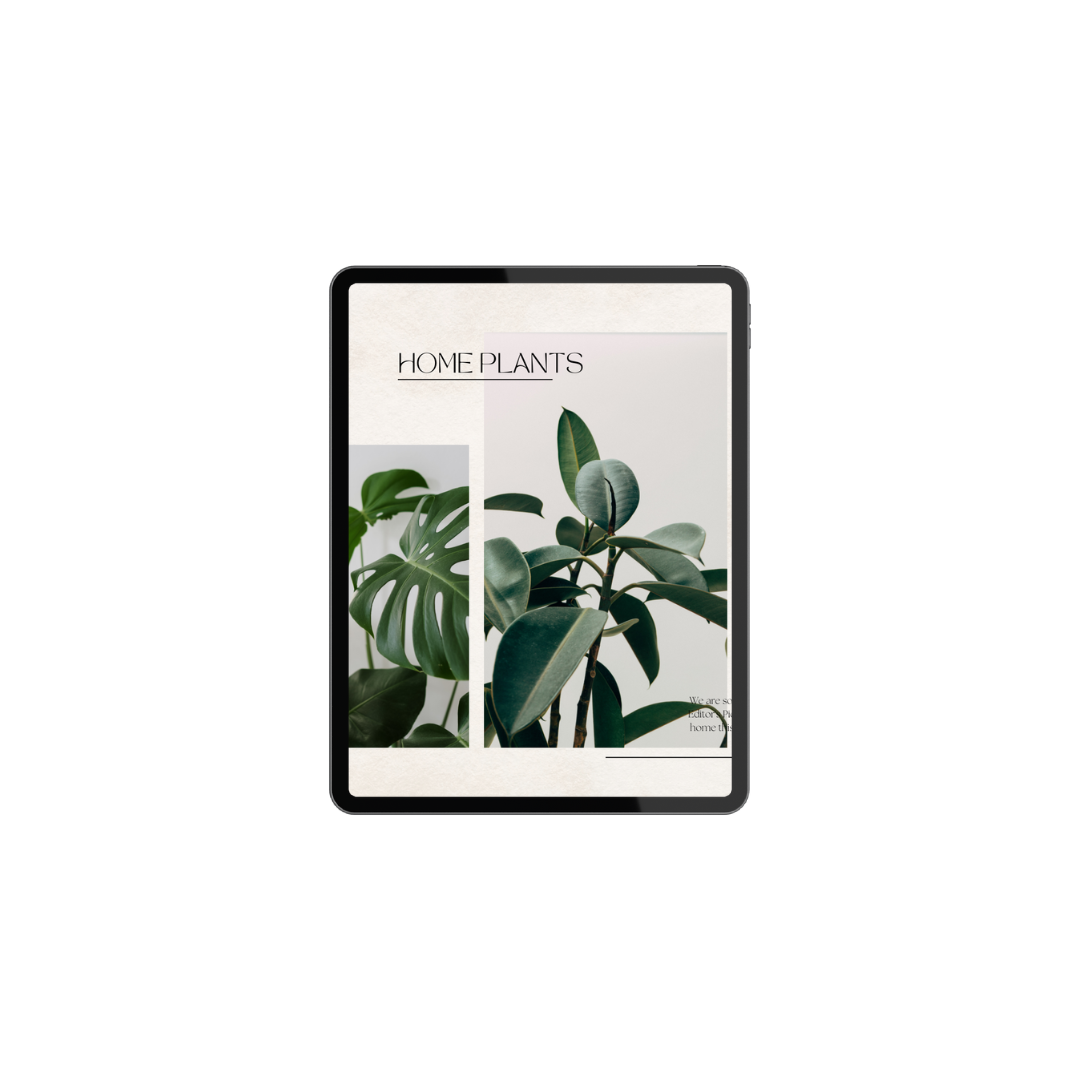 Design uden navn (1).png