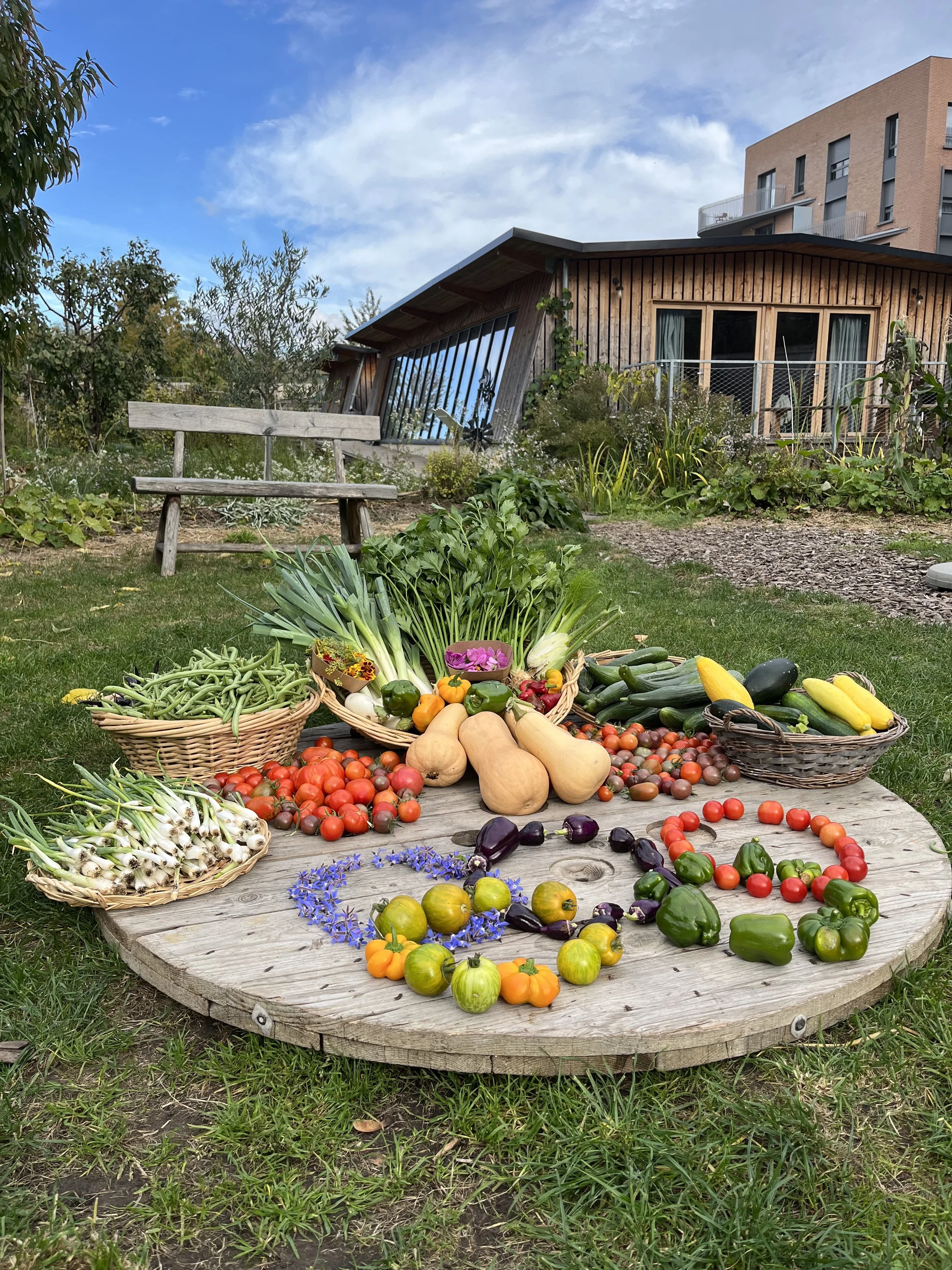 FND JO CABANE Credit Gilles Degroote.jpg