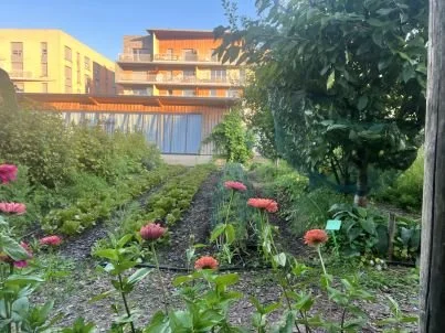 IMG_8932 Planches et cabane FND Crédit Gilles Degroote VLIGHT.JPG