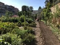 FND PLANCHE ET SERRE_Credit Gilles DEGROOTE Vlight.JPG