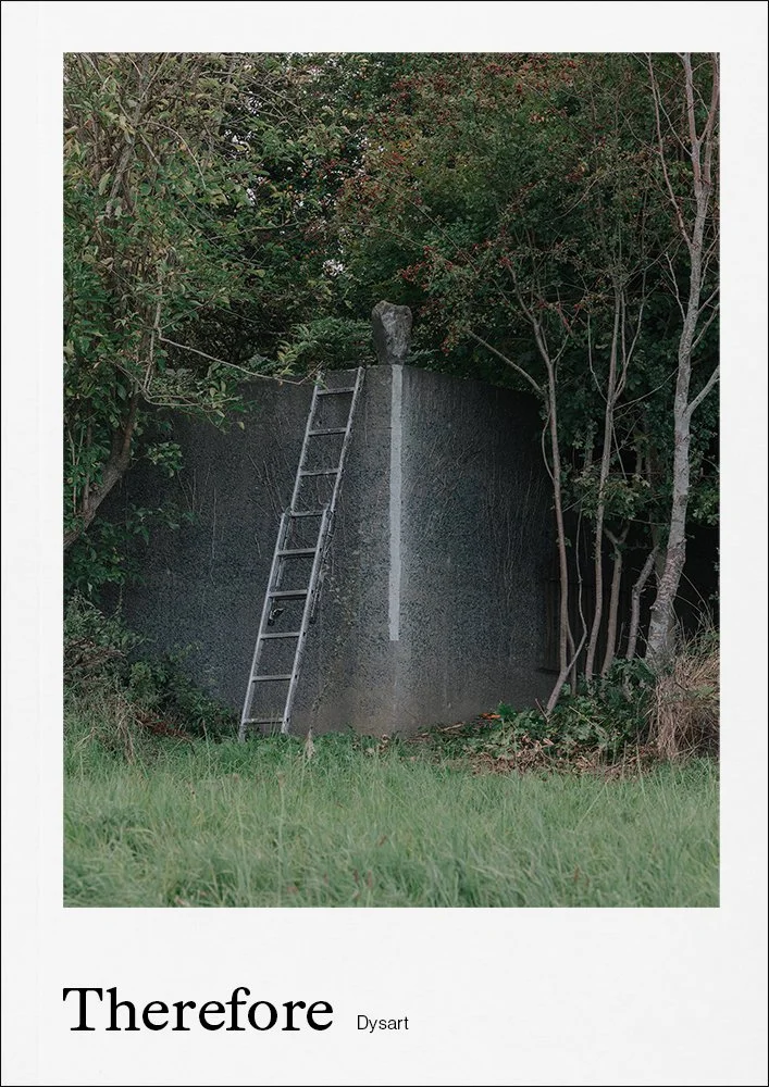 A concrete wall with a ladder leaning against it, surrounded by trees and greenery.