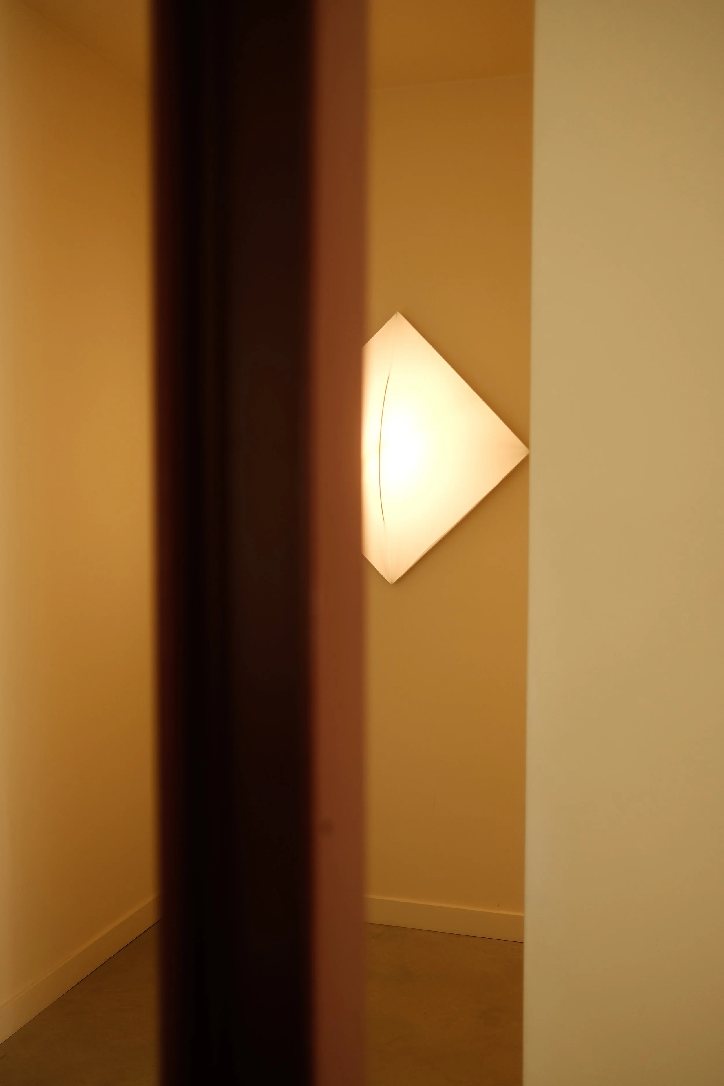 DSCF8561.JPG