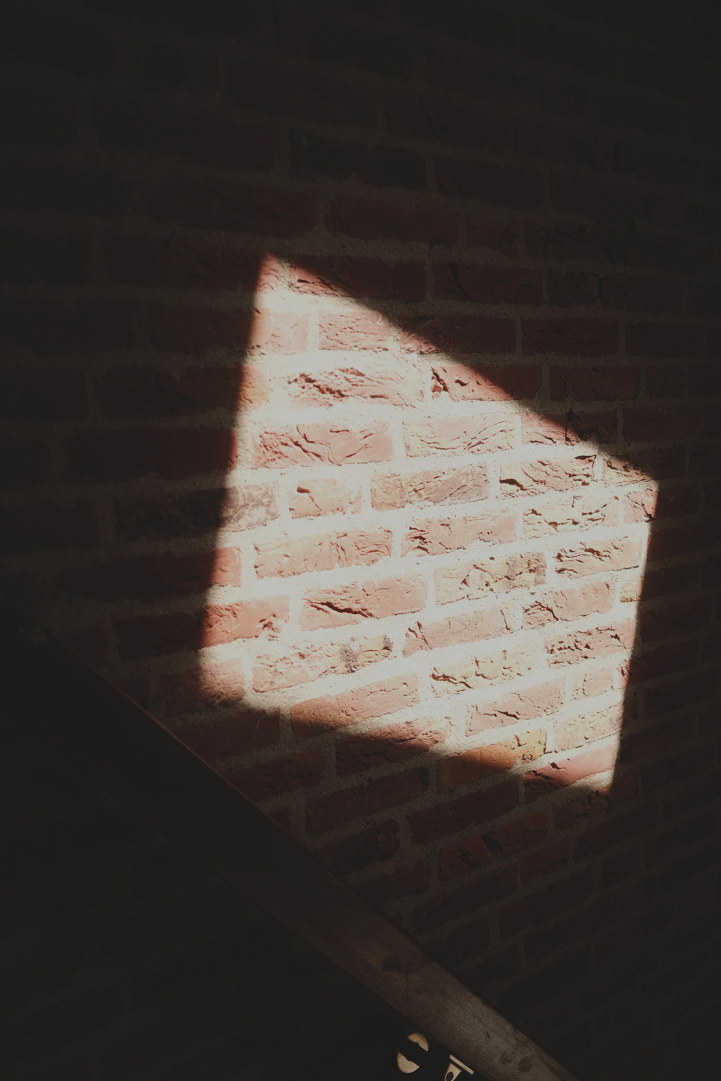 DSCF8955.JPG
