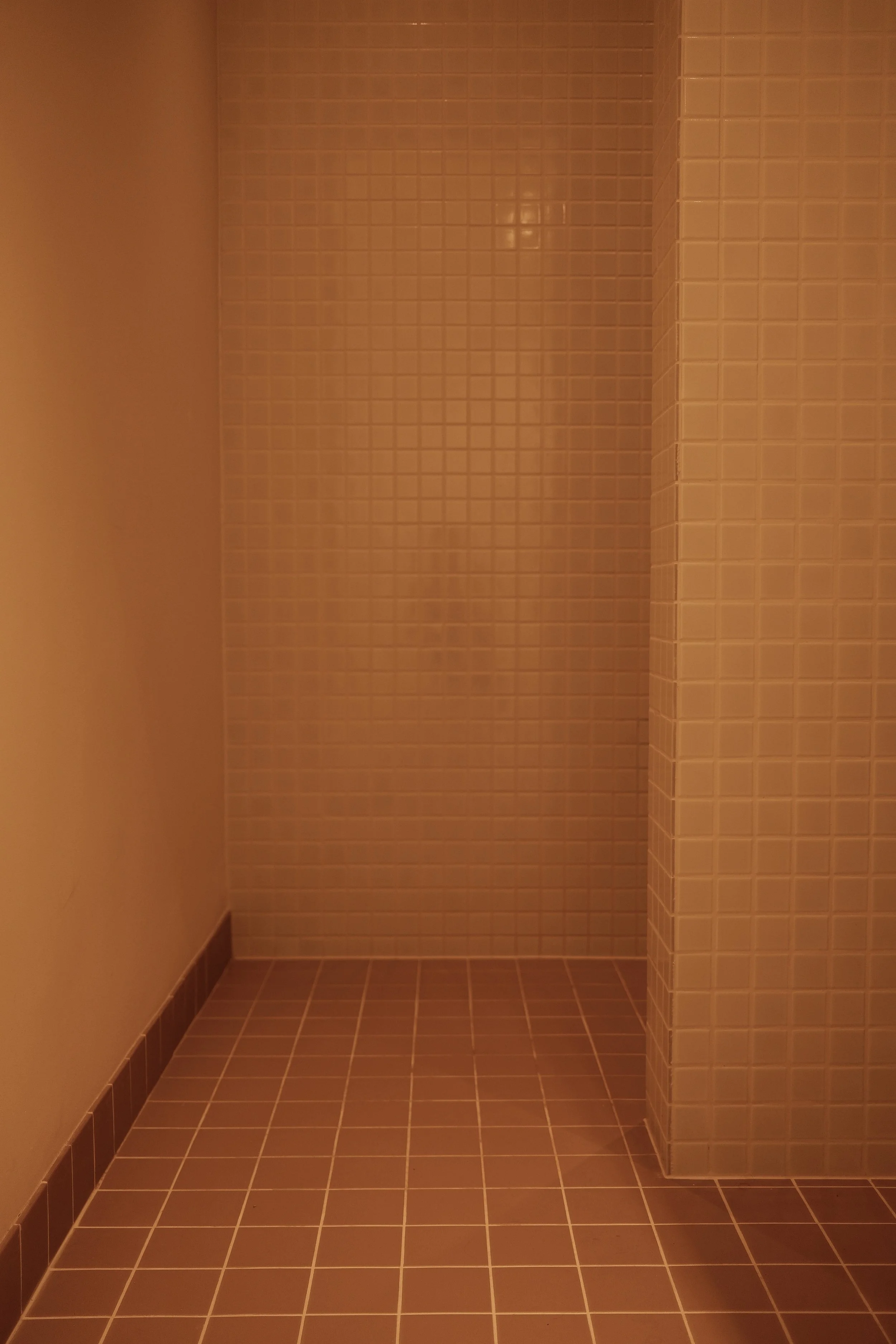 DSCF8838.JPG