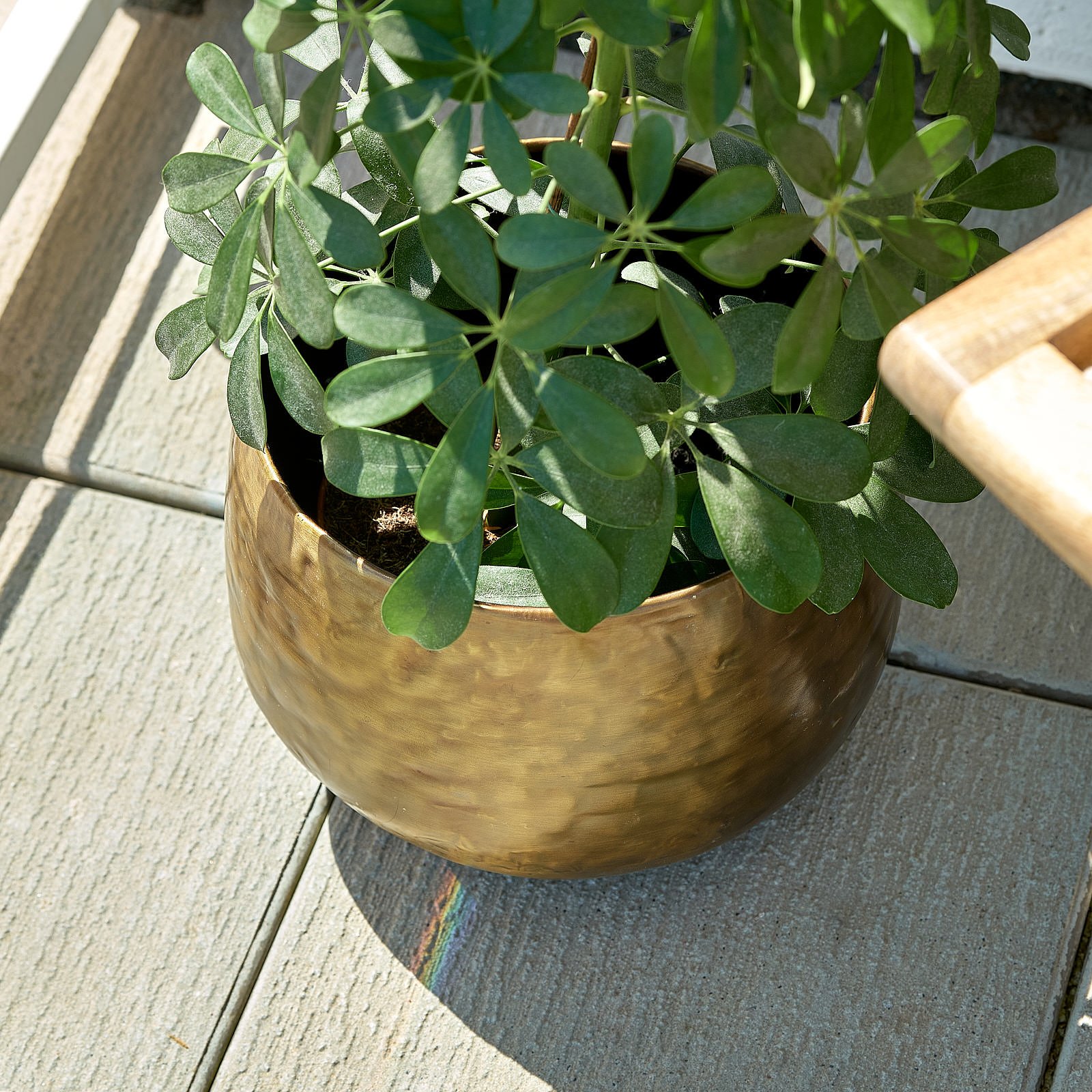 Brass Pot 2-1538.jpg