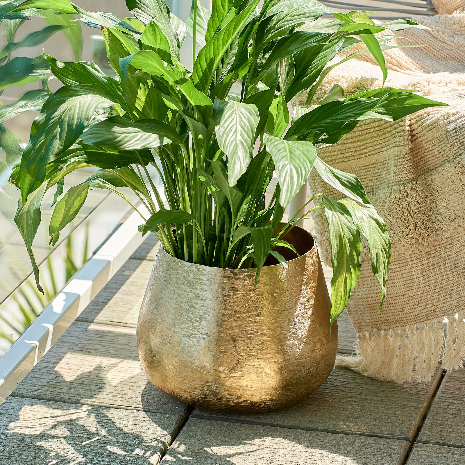 Brass pot 1-1544.jpg