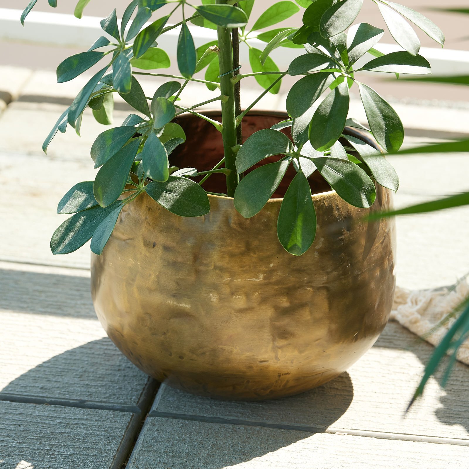 Brass Pot 2-1537.jpg