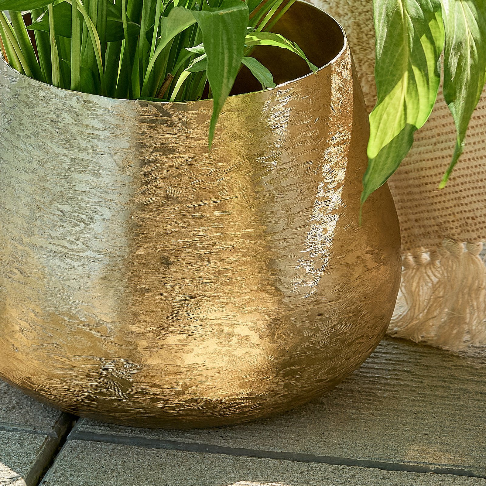 Brass pot 1-1543.jpg