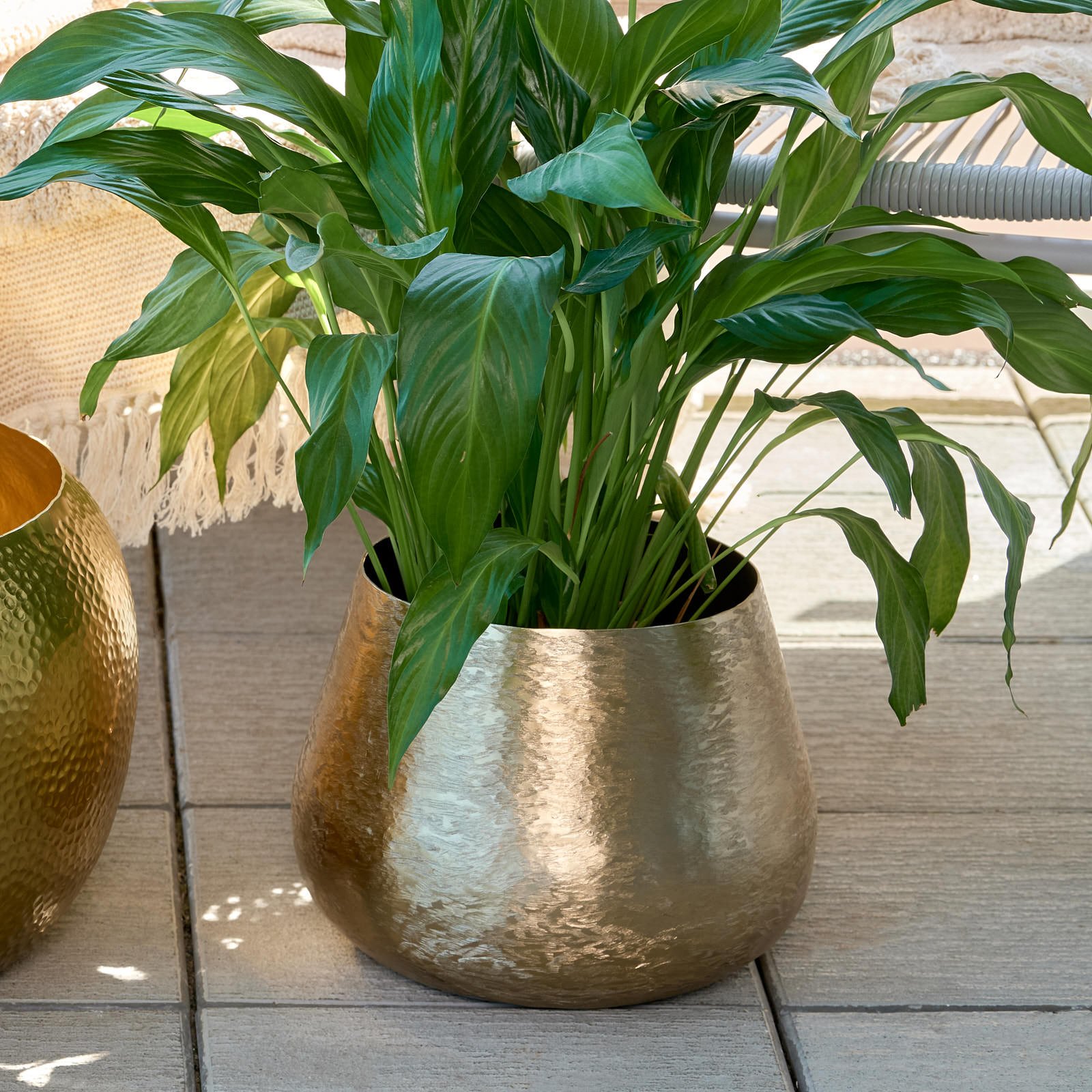 Brass pot 1-1546.jpg