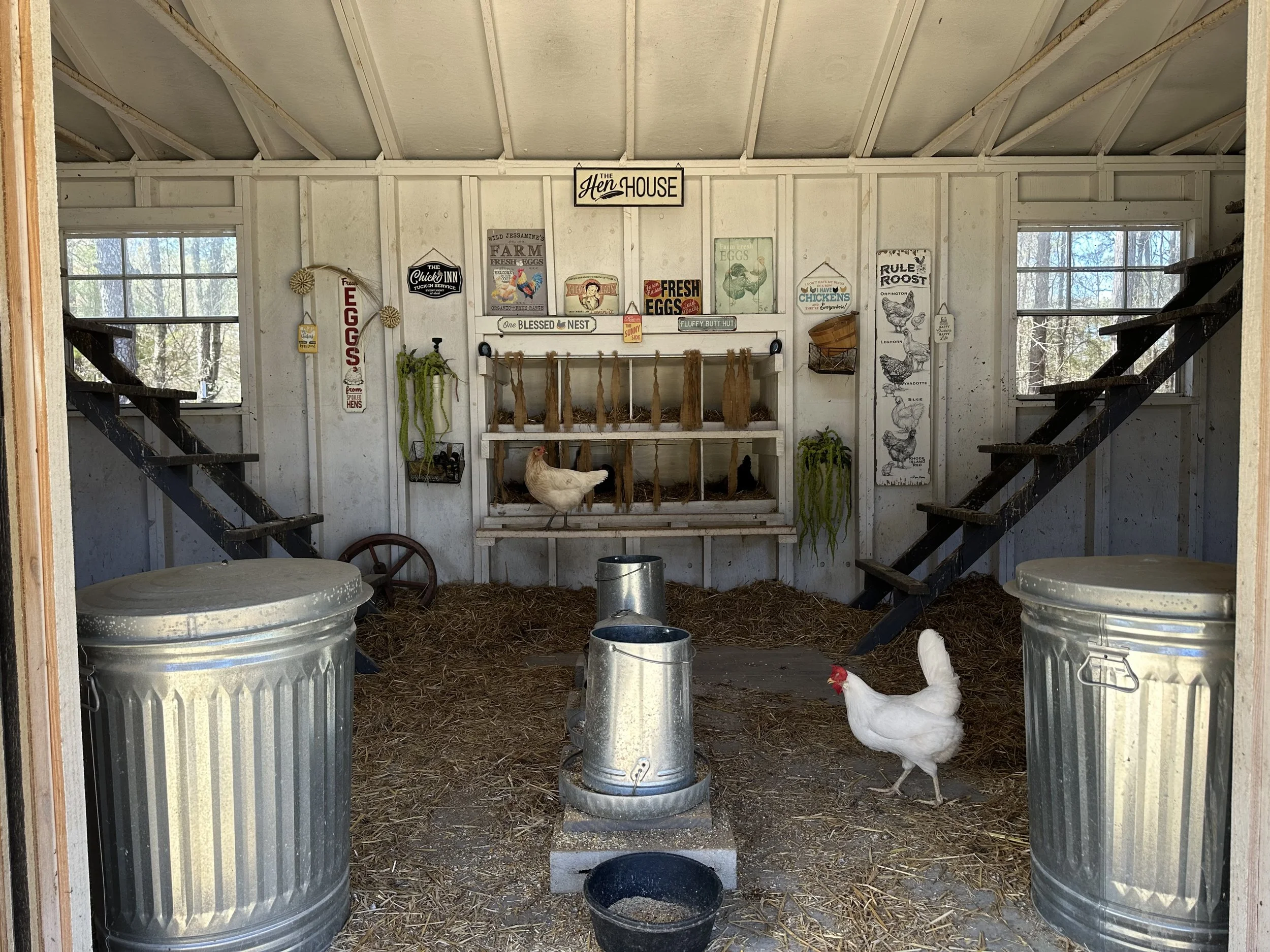 hen house image