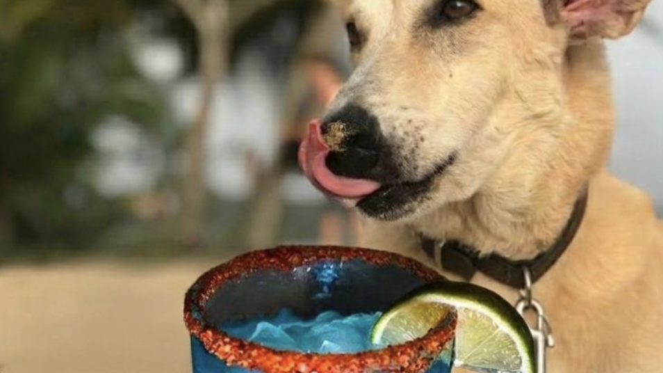 April : This Día del Niño, we’re celebrating something very special 