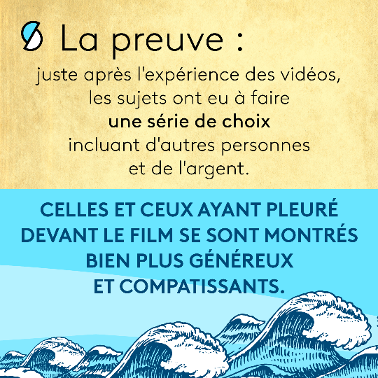 INFOG_PLEURS_6.png