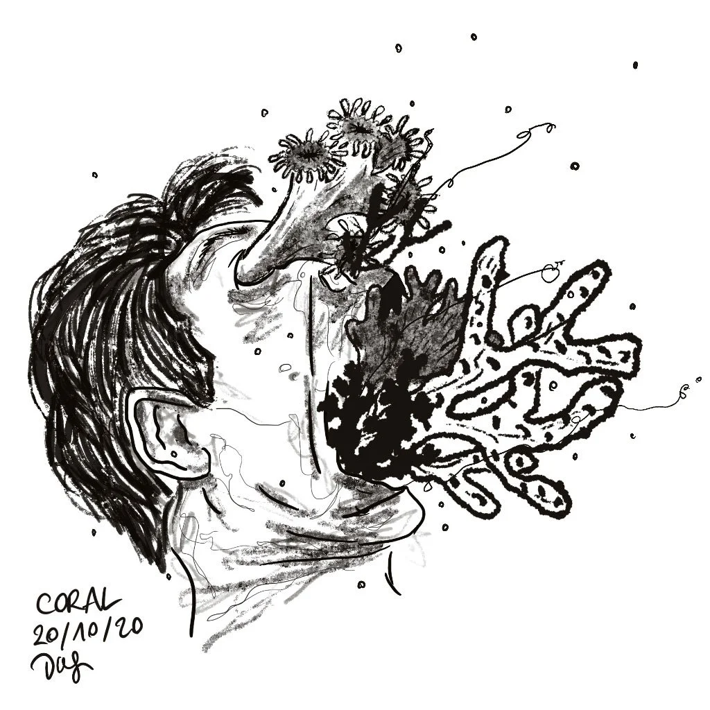 Corail.jpg