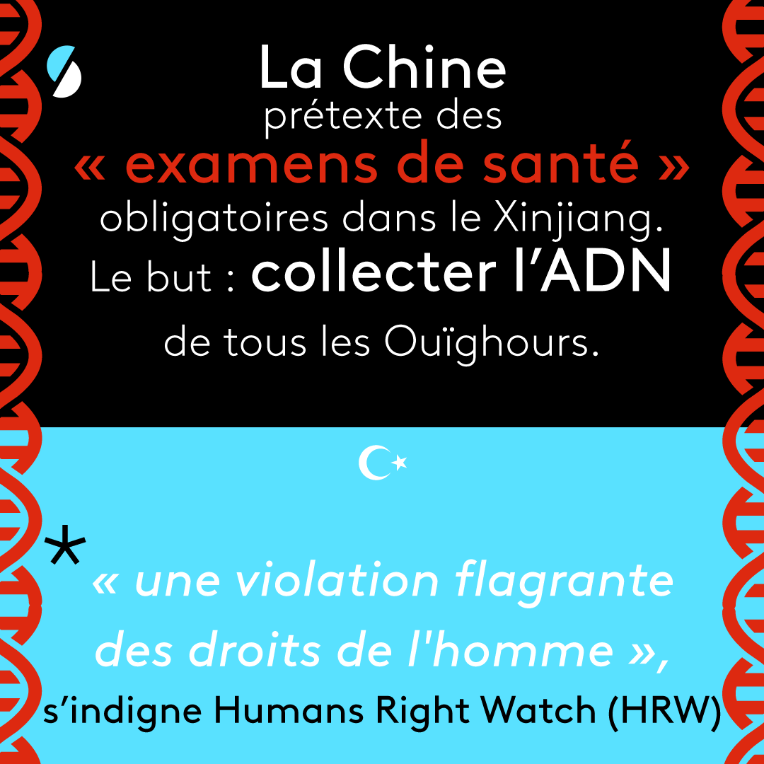 INFOG_OUIGHOURS_3.png