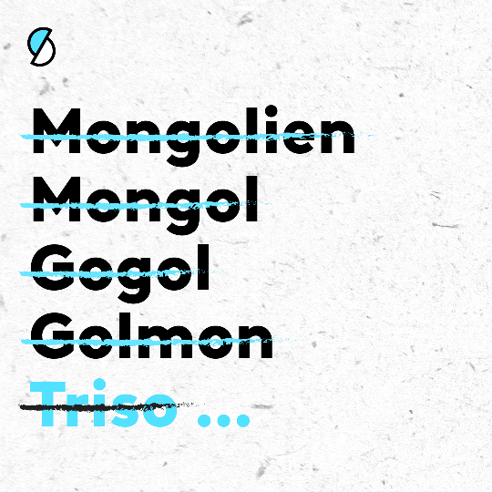 INF0G_MONGOLIEN_1.png